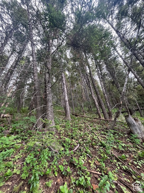 SUMMIT PARK - Land