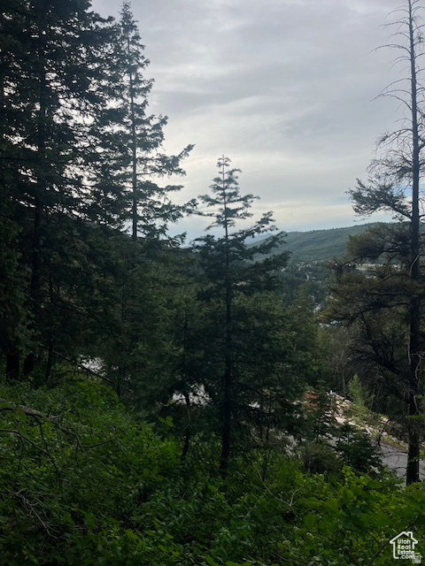 SUMMIT PARK - Land