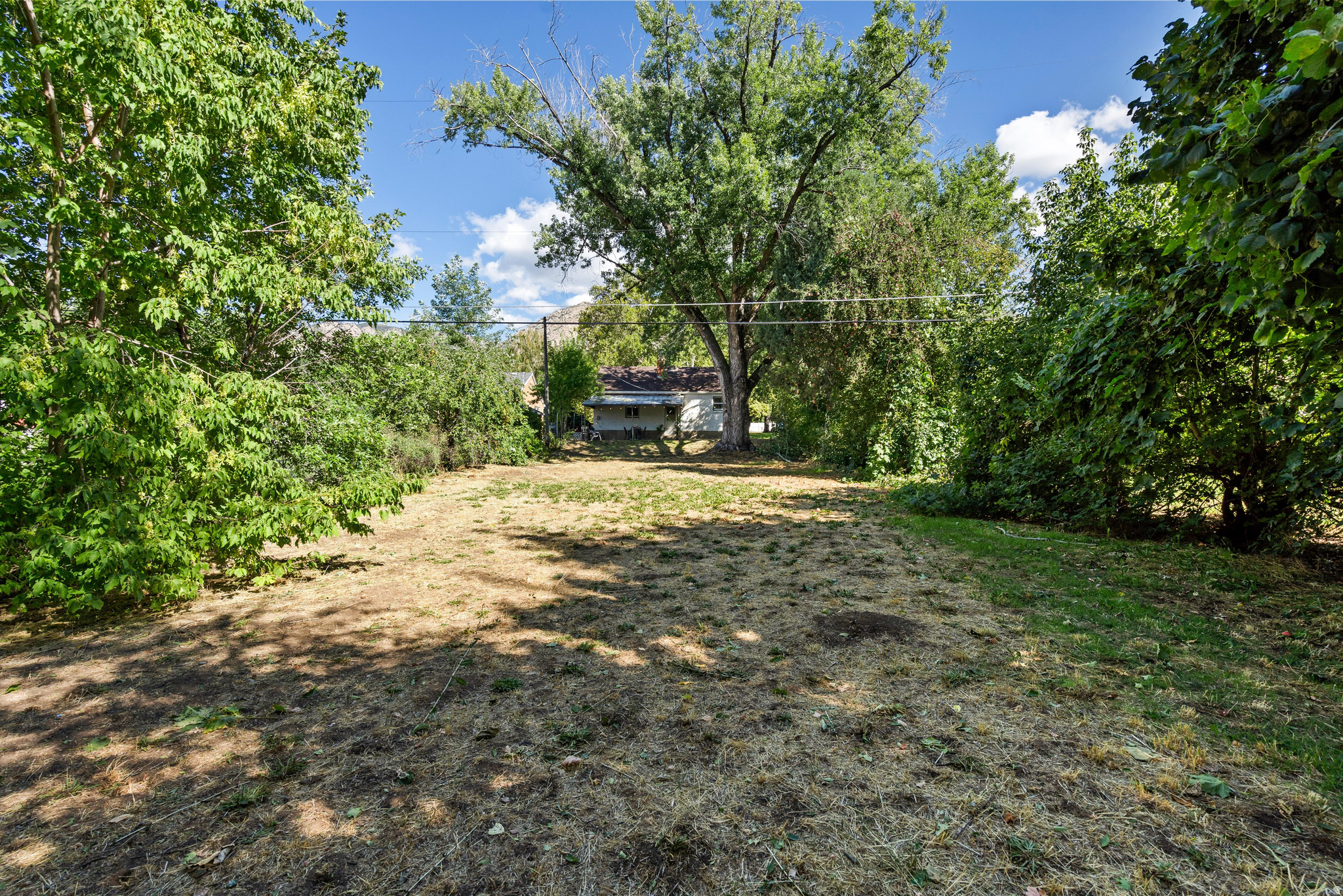 NELSON PARK ADDITION - Residential