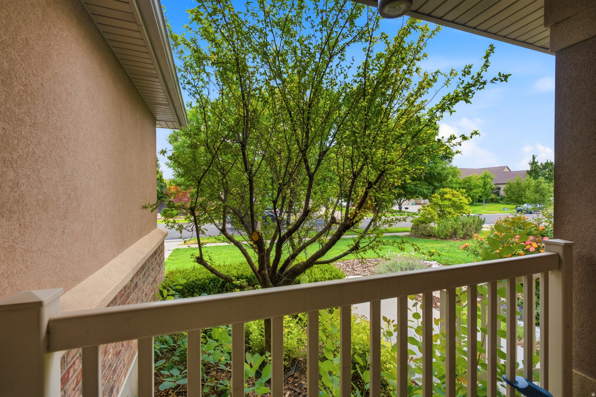 MILLER MEADOWS - Residential