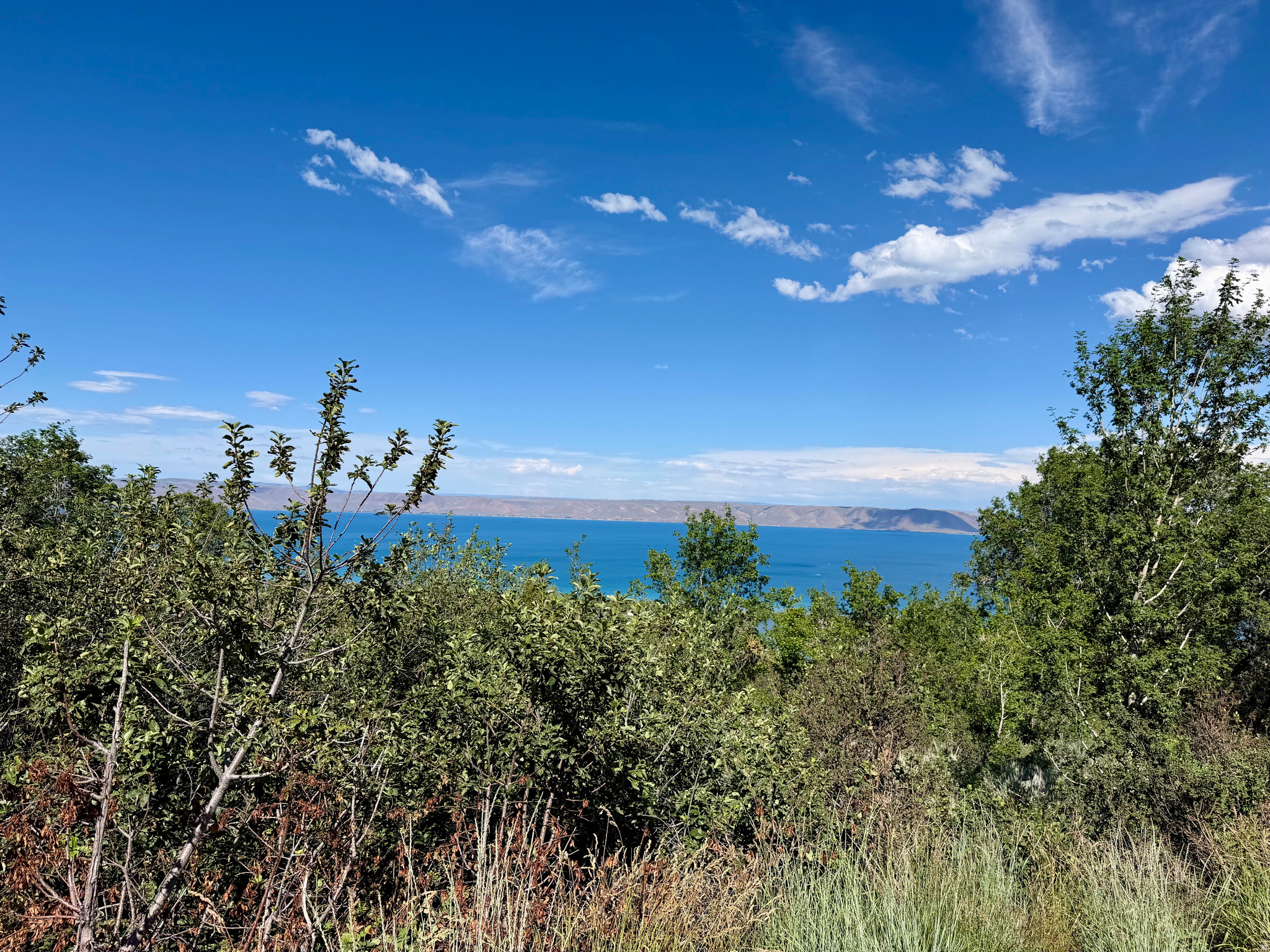 Own two lots in beautiful Bear Lake!  Trees, year round accessible! HOA fee includes: Beach access, discounts on Golf at the Bear Lake West Golf Course, tennis and pickleball, swimming pool! Build your home on this beautiful property and start living the Bear Lake Dream!!