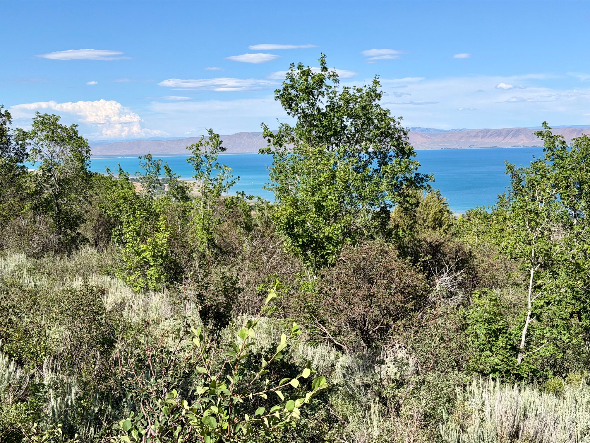 BEAR LAKE WEST SUB 6 LOTS 303 & 304 - Land