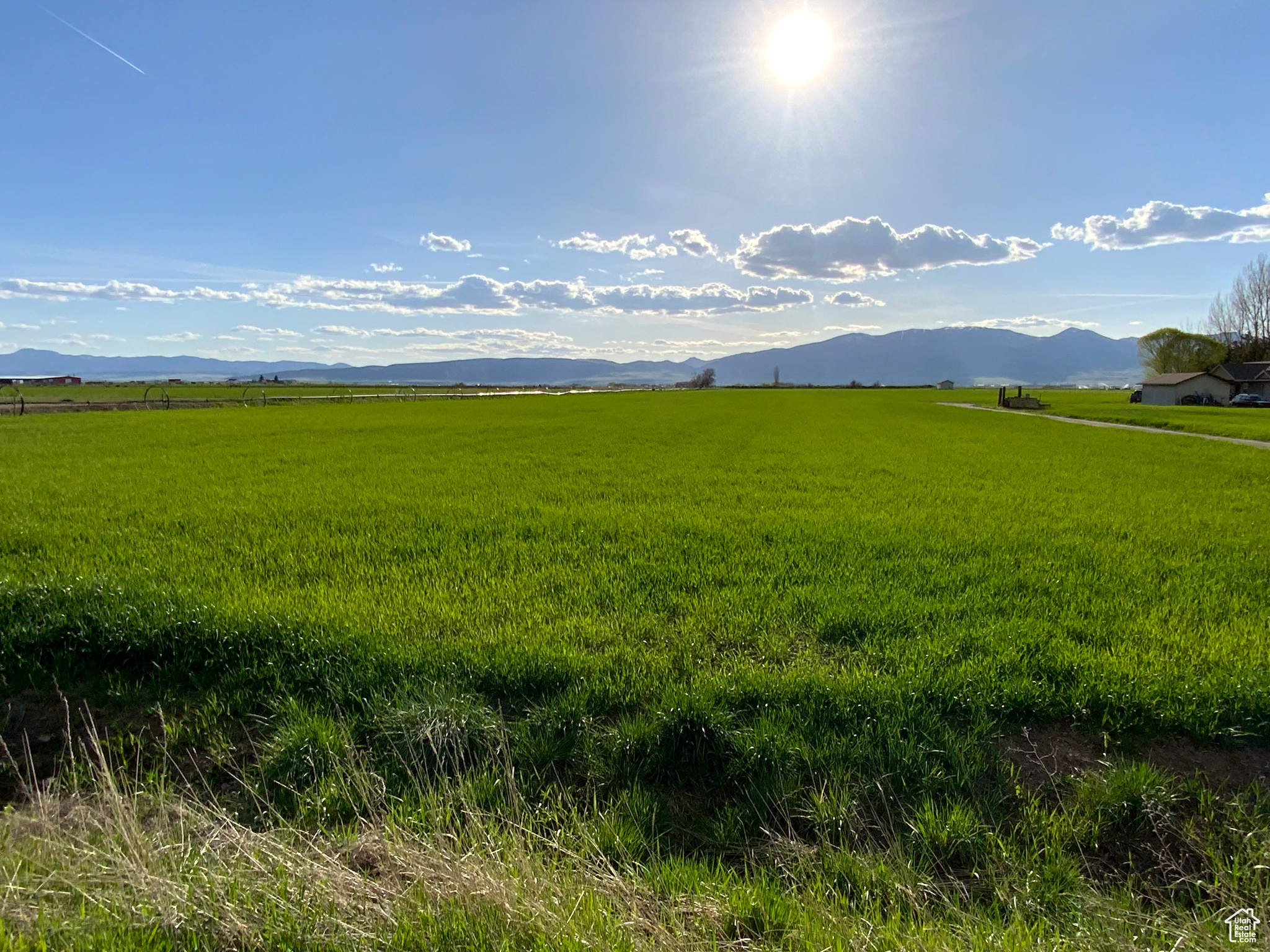 6-ACRES + 15 WATER SHARES (Pressurized Irrigation) PREMIUM HOMESITE WITH WATER RIGHTS - PRESTON, IDAHO Rare Opportunity 15 Irrigation Shares, Animal Rights. Discover this exceptional 6-acre parcel offering the perfect balance of country living with convenient proximity to Preston's amenities. This premier building site features premium flat crop land ideal for agricultural pursuits while providing the perfect canvas for your dream home. Property Highlights: 10 valuable shares of irrigation water, Full animal rights for hobby farm or equestrian interests, Flat, usable terrain with excellent soil quality, Pressurized gravity flow irrigation water, Breathtaking panoramic countryside views, Upscale neighboring properties, Close to town conveniences. Situated in one of Preston's most desirable rural neighborhoods, this versatile property allows you to build exactly what you want while enjoying the freedom of country living. Bring your builder and create the estate you've always imagined in this sought-after location. Don't miss this rare opportunity to secure acreage with water rights. Owner / Agent.
