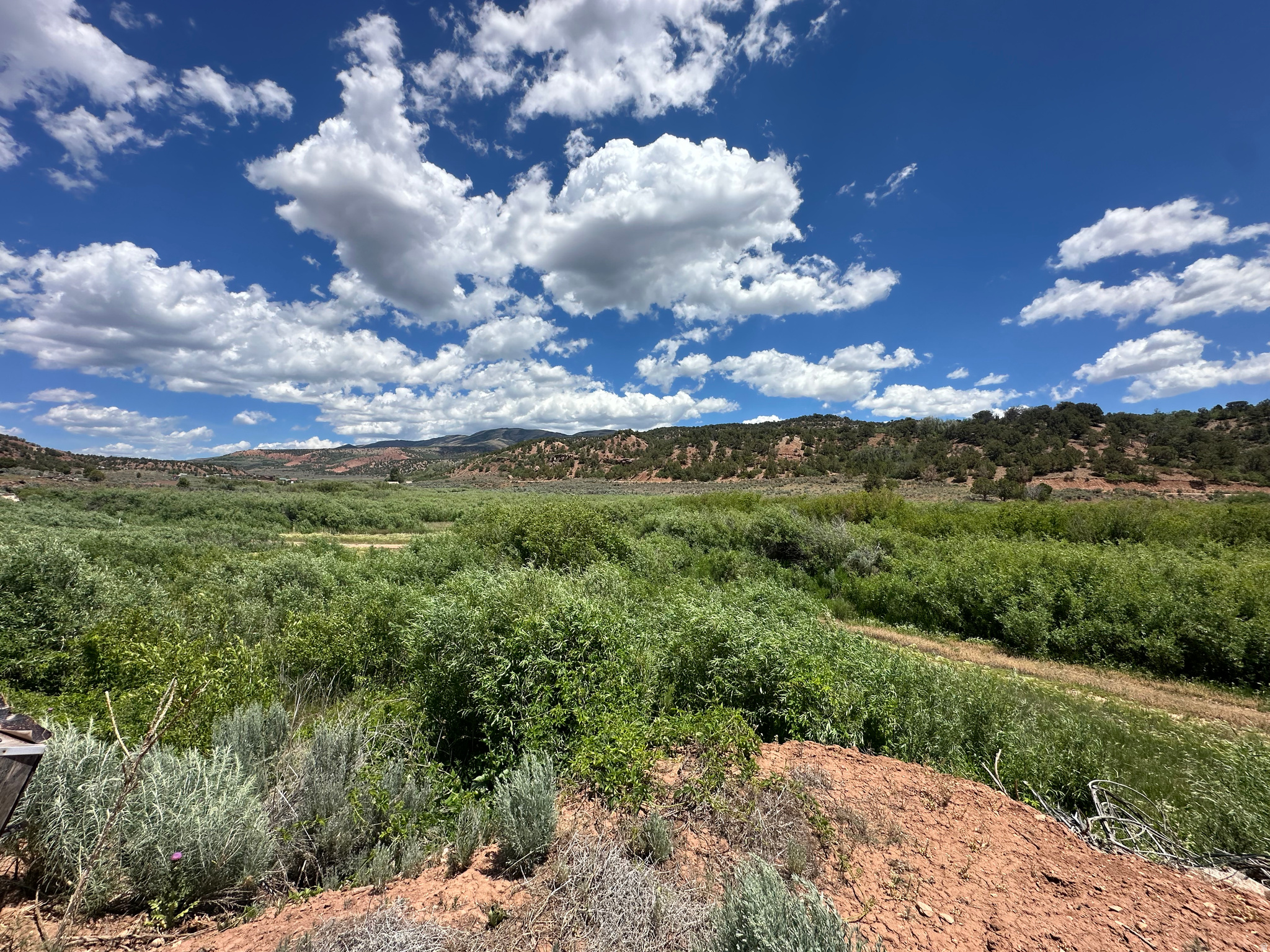 This 5-acre property located north of Bandana Ranch in Fruitland, Utah offers breathtaking mountain views, abundant wildlife, and endless opportunities for outdoor recreation.  The property comes ready for your adventures and includes: Two 4-wheelers, Four generators, Dump truck, Single-wide trailer, RV camper. Enjoy incredible scenery, fresh mountain air, and frequent visits from deer, elk, and other local wildlife. Seasonal creek runs through the property.  There is plenty of space to explore and make your own opportunity to own a piece of Utah's beautiful backcountry.  There is power near by.  No septic or culinary water.  The owner can't find the titles for the dump truck and trailers.  The truck and 4-wheelers have been sitting for a couple of years.  Property is vacant.  I have the keys to the trailers.  Call if you need directions to the property.  Buyer to verify all information including property lines.