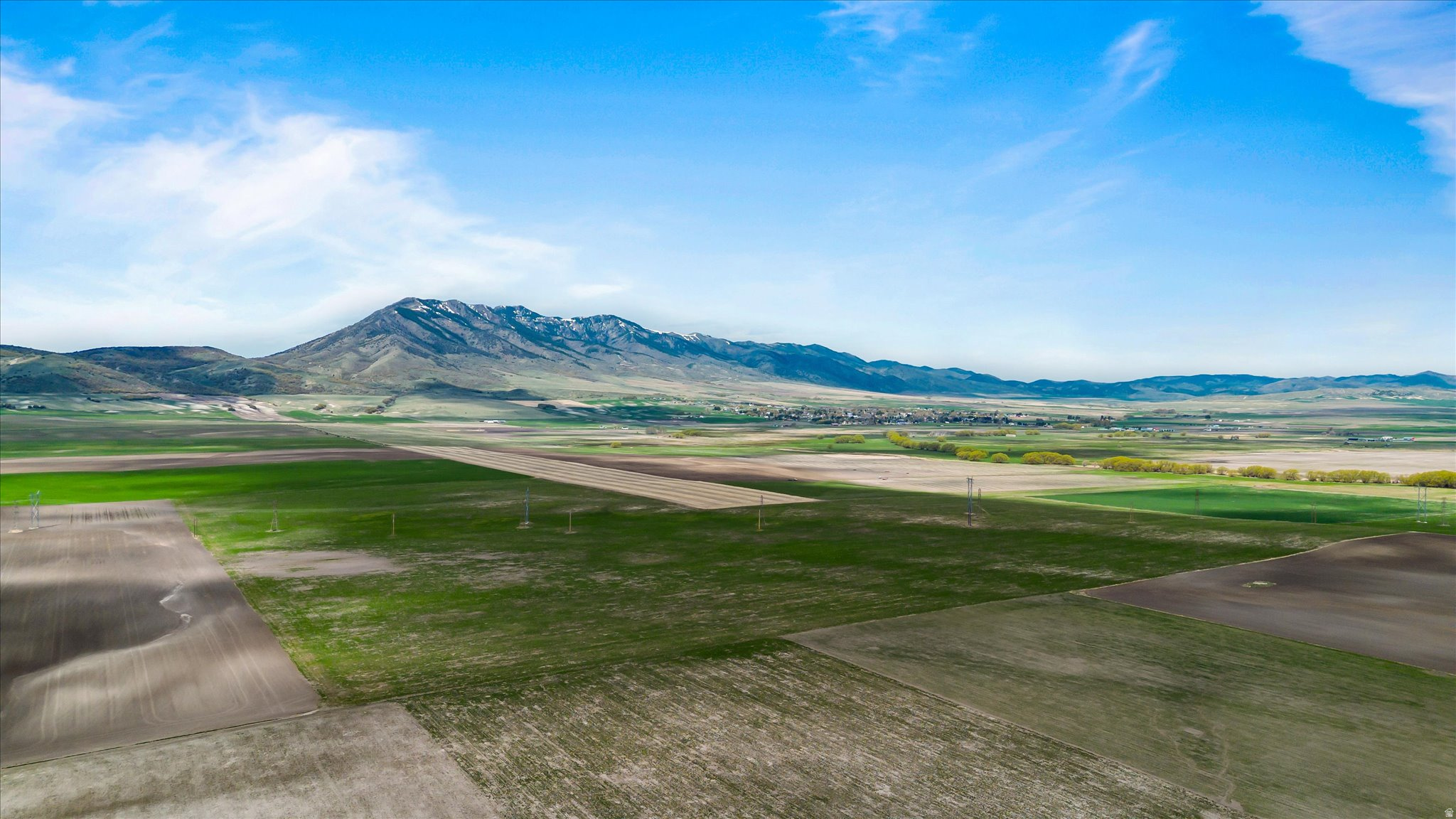 Excellent dry farm! Wide open spaces. These fields can be accessed from two different roads. Currently in wheat. This is an opportunity for a legacy property at a good price.  Also includes Tax ID #13-056-0017.