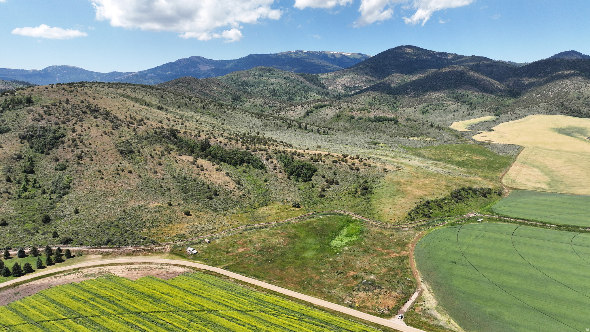 Expansive, High Country, Buildable Land Bordering BLM, Near Grace -  Two separate tracts of land with one parcel id and dirt road access connecting them - Recently surveyed  - Year-round gravel road access with overhead power along road - Terrain: Flat - gradual slope - moderate slope - steep - Borders BLM to the south and west - Partially fenced - Cattle sorting pens / corral  - Hunting Unit 74 - Mule deer, elk, moose, mountain lion and upland game on property --- Backed up to BLM, private land and agricultural ground with year-round gravel road access, this property could make a fine potential base camp for outdoor recreation, residential or cabin build site or homestead opportunity.  The property was recently surveyed and consists of two separate tracts of land, one forty acres and one approximately 165 acres with dirt road access connecting the two.  It is partially fenced with a corral, livestock sorting pens and overhead power along the road.  Bring your horses or other livestock and take advantage of this homestead opportunity.  There is plenty of flat to gradual sloping ground for your base camp, residential or recreational build site with a few neighbors previously settled in.  Or, perhaps, you are seeking an off the grid cabin site in the mountains, this property could work nicely.  A residential or recreational build will require a well to be drilled for culinary water, a perc test to be performed for a septic system and power pulled from the road or an alternative source such as solar.  There is no shortage of beautiful scenery.  Enjoy the expansive views of the mountains and farmland and relish the fresh mountain air.   The stars in the night sky seem to shine especially bright, relax and enjoy stargazing without all the light pollution of the city.    Tucked in the foothills of the Wasatch Mountain Range, halfway between Lava Hot Springs and Soda Springs, in the quaint rural town of Grace, this mountainous terrain offers endless exploration both on and off the property.  This is an outdoor recreation paradise with hundreds of miles of dirt roads and trails to experience hiking, backpacking, camping, horseback riding, mountain biking, cruising in ATV's, big game hunting and upland game hunting.  Enjoy fishing and floating on the Bear River and Portneuf River or a relaxing soak in the Lava Hot Springs mineral pools. Winter access to the public land requires a snow machine and opens the door for a magical winter wonderland adventure snowmobiling, cross country skiing and snowshoeing.     This is part of Hunting Unit 74 and known for trophy mule deer and mature elk herds.  Game trails are evident on the property winding all through the sage, bitterbrush and evergreens as well as plenty of elk and deer tracks.  Four trail cams are set up capturing wildlife footage in its purest form.  Set up base camp on the property, there is ample space for hunting parties as well and scout for deer, elk, moose, mountain lion and upland game right in your own backyard.  This could be the mountain retreat you have been waiting for.
