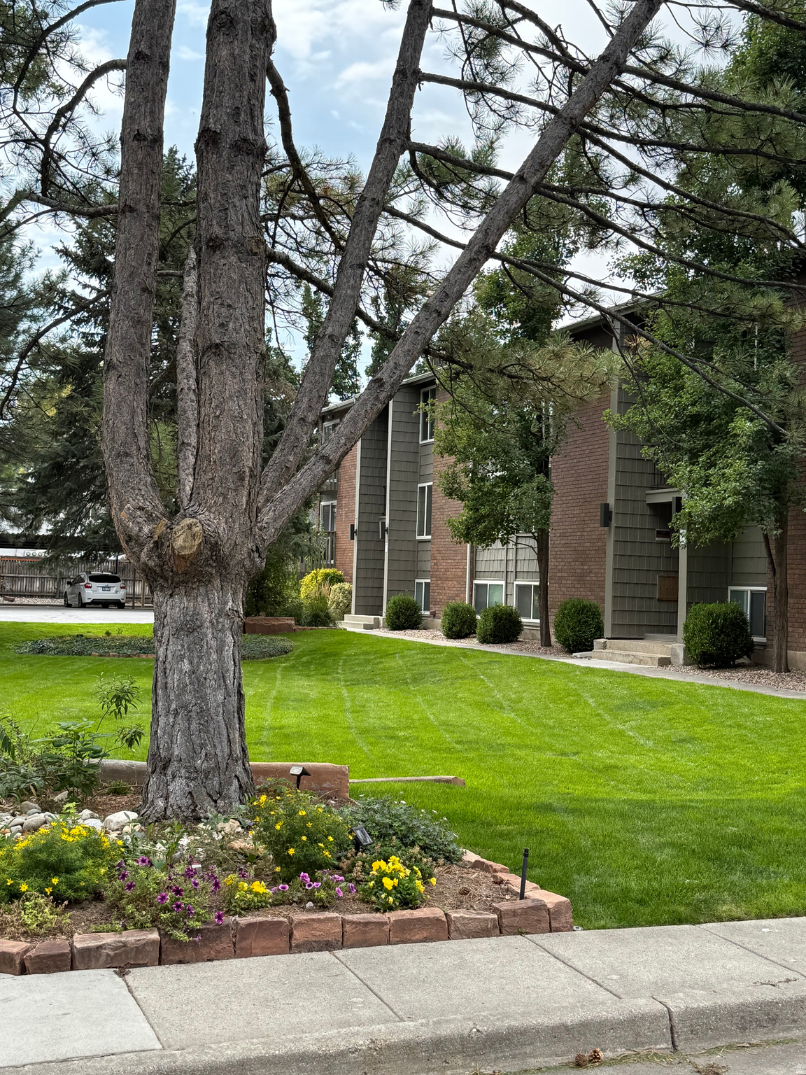 CENTURY VILLA - Residential
