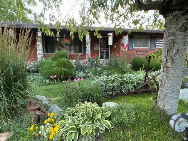 VANDE HEIGHTS - Residential
