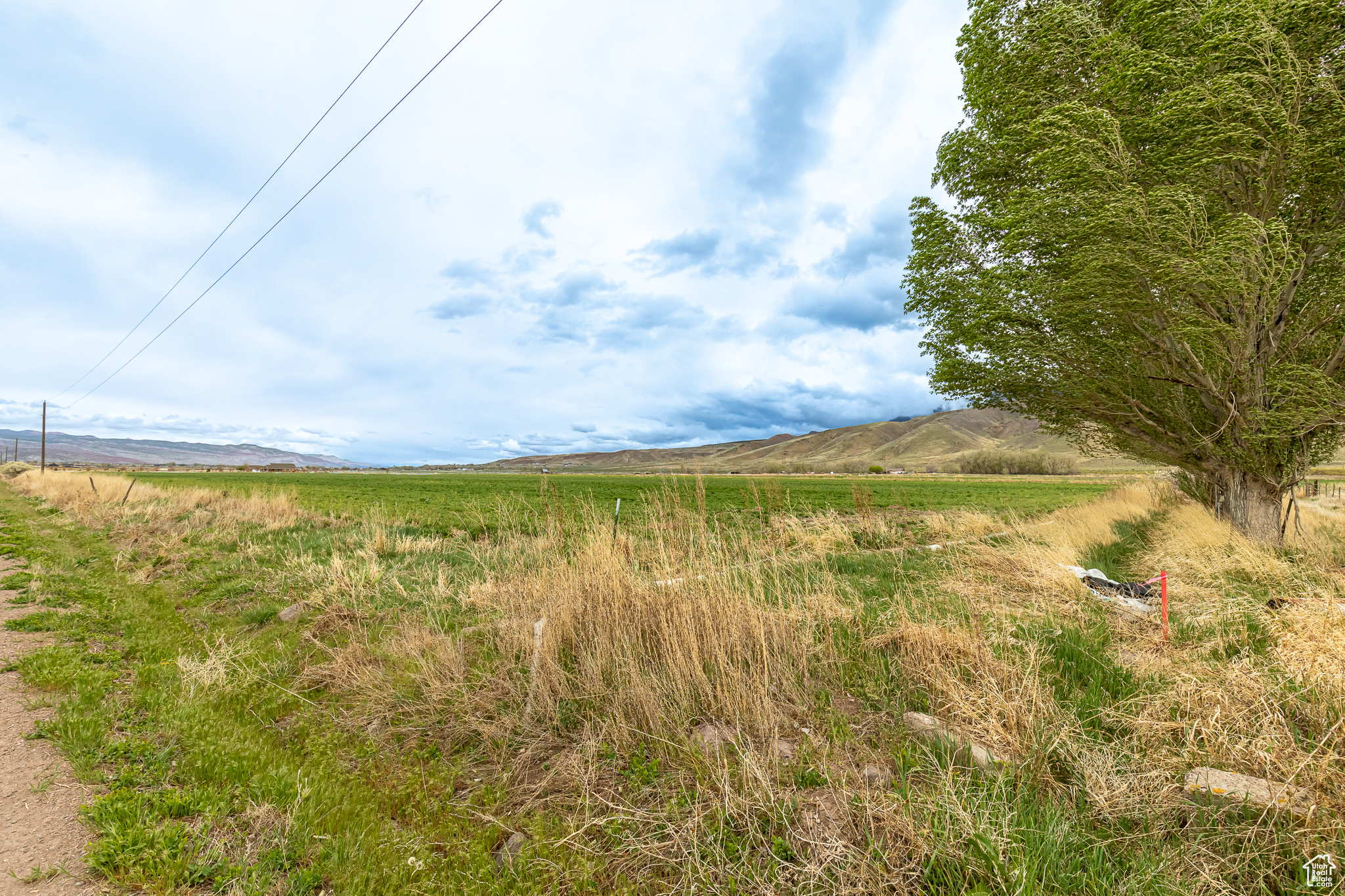 ELK VIEW - Land