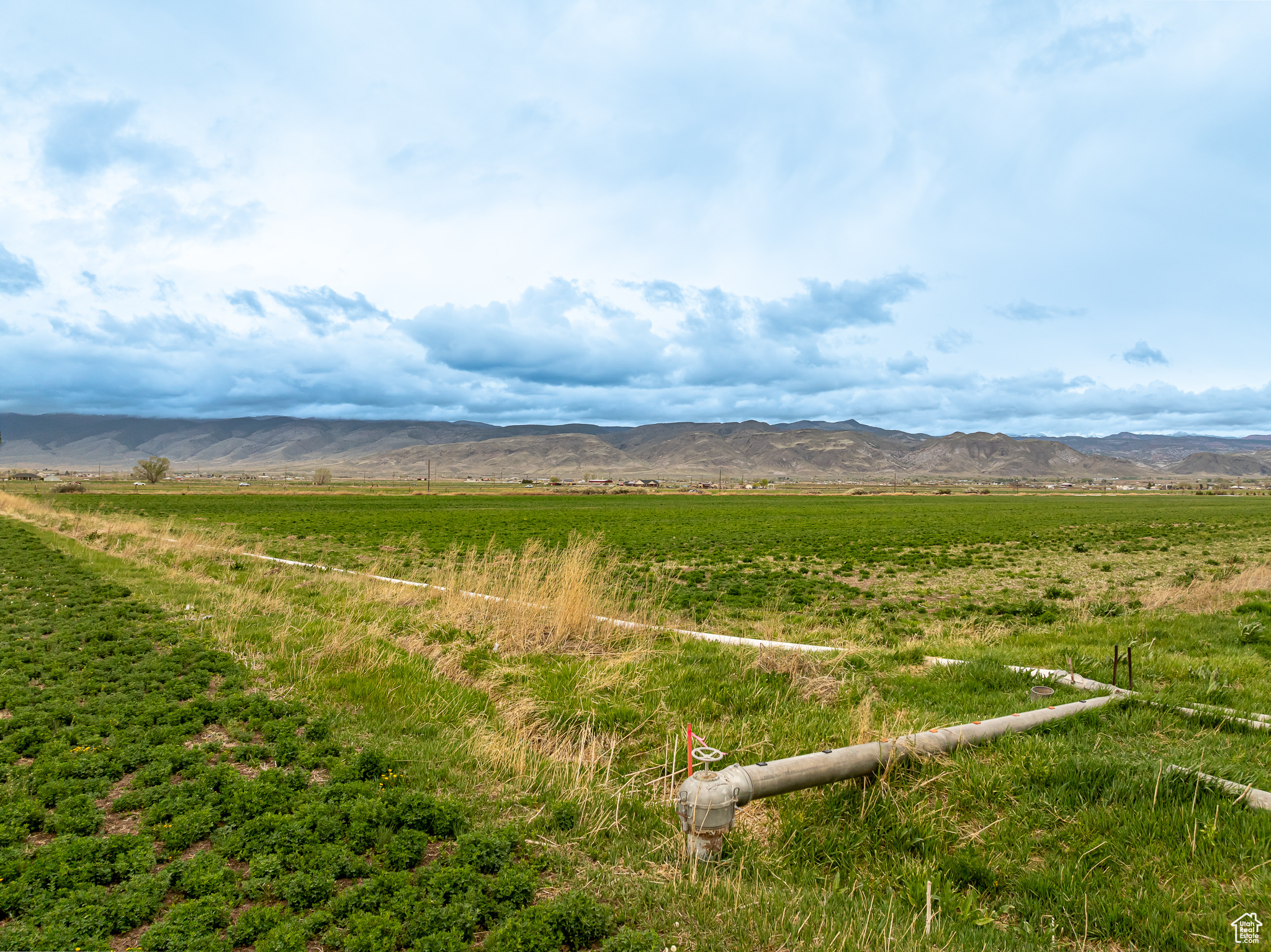 ELK VIEW - Land
