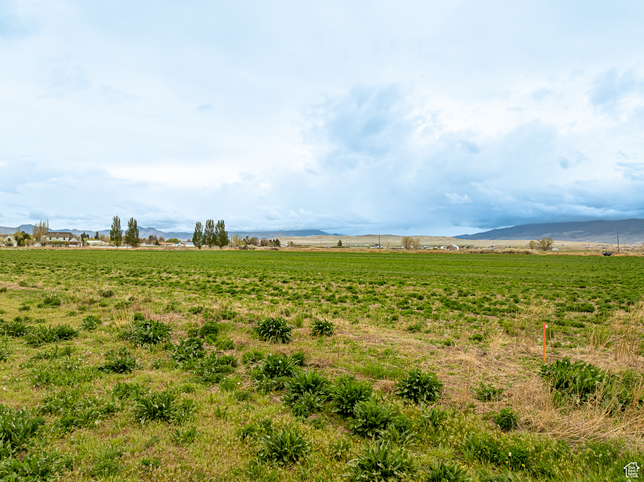 ELK VIEW - Land