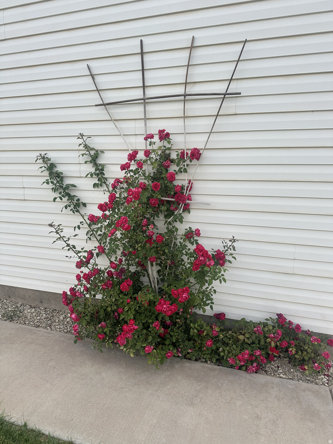 PEPPER RIDGE - Residential