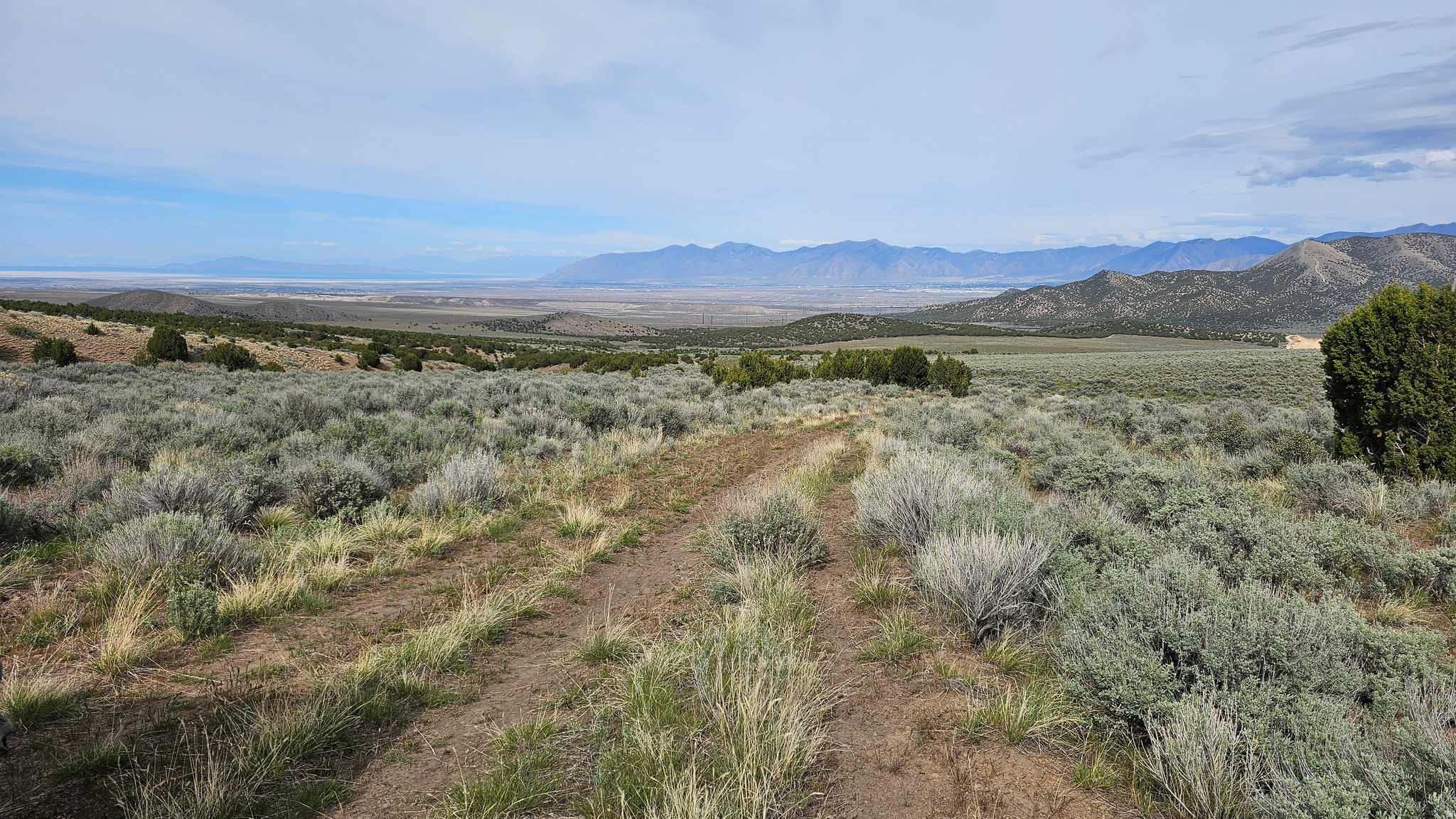 Price Drop! Welcome to Lot 25 of the Stansbury Agricultural Properties. Here you'll find a serene and private 20+ acre parcel of land with stunning views of the Stansbury Mountains and the Great Salt Lake. This large and nearly flat lot is on a quiet dirt road north of Hickman Canyon. Bring your horses, cows, and animals; the opportunities here are endless! This land was recently rezoned from MU-40 to A10, which provides new possibilities for land use. If you've been looking for a peaceful retreat away from the city's hustle and bustle, this property's quiet location will provide the perfect escape. Bring your family and RV and enjoy the quiet outdoors. Stansbury Agricultural Properties are near Hickman's Pass which provides endless opportunities for horseback riding, ATV trails and more.