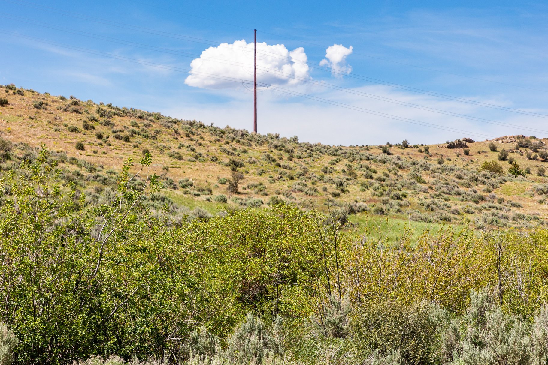 ELK RIDGE SUBDIVISION - Land