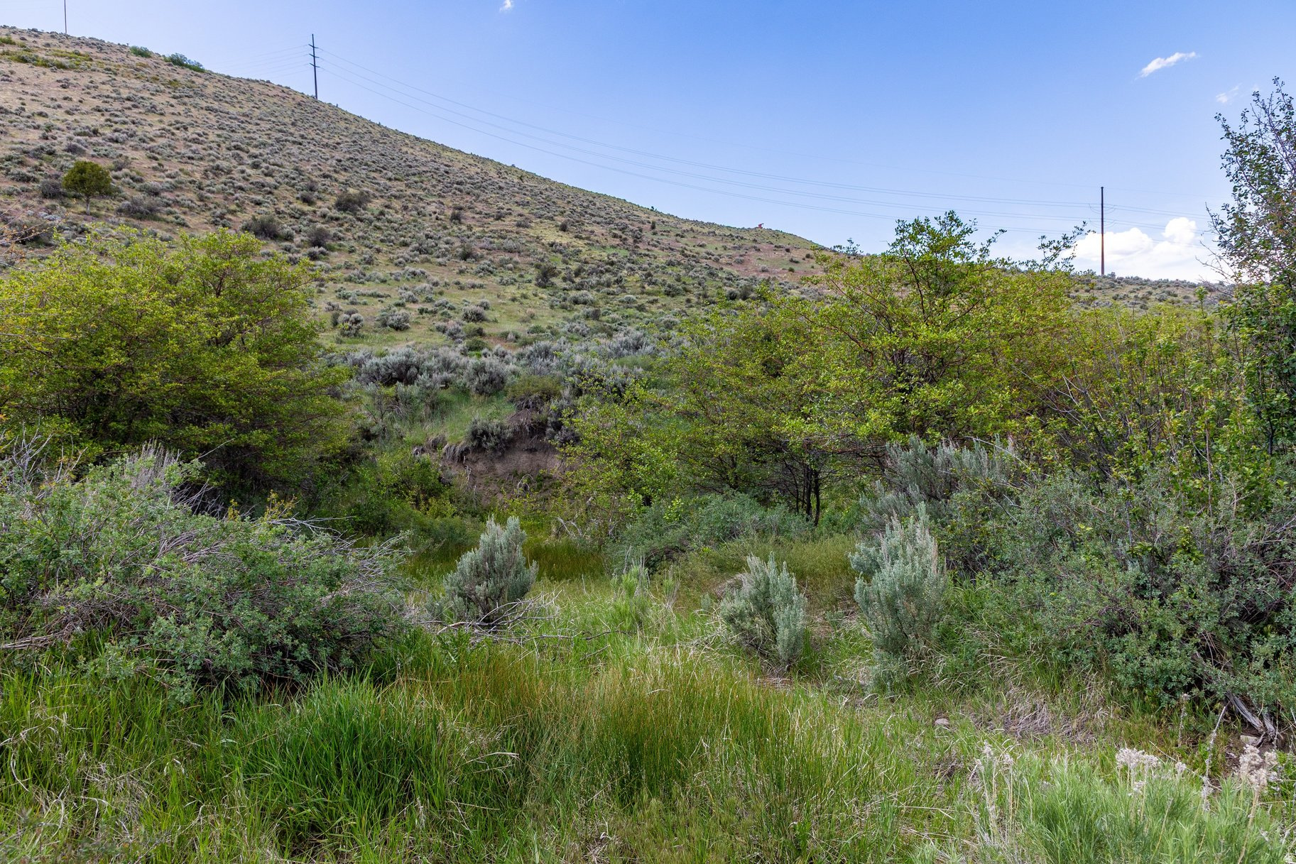 ELK RIDGE SUBDIVISION - Land