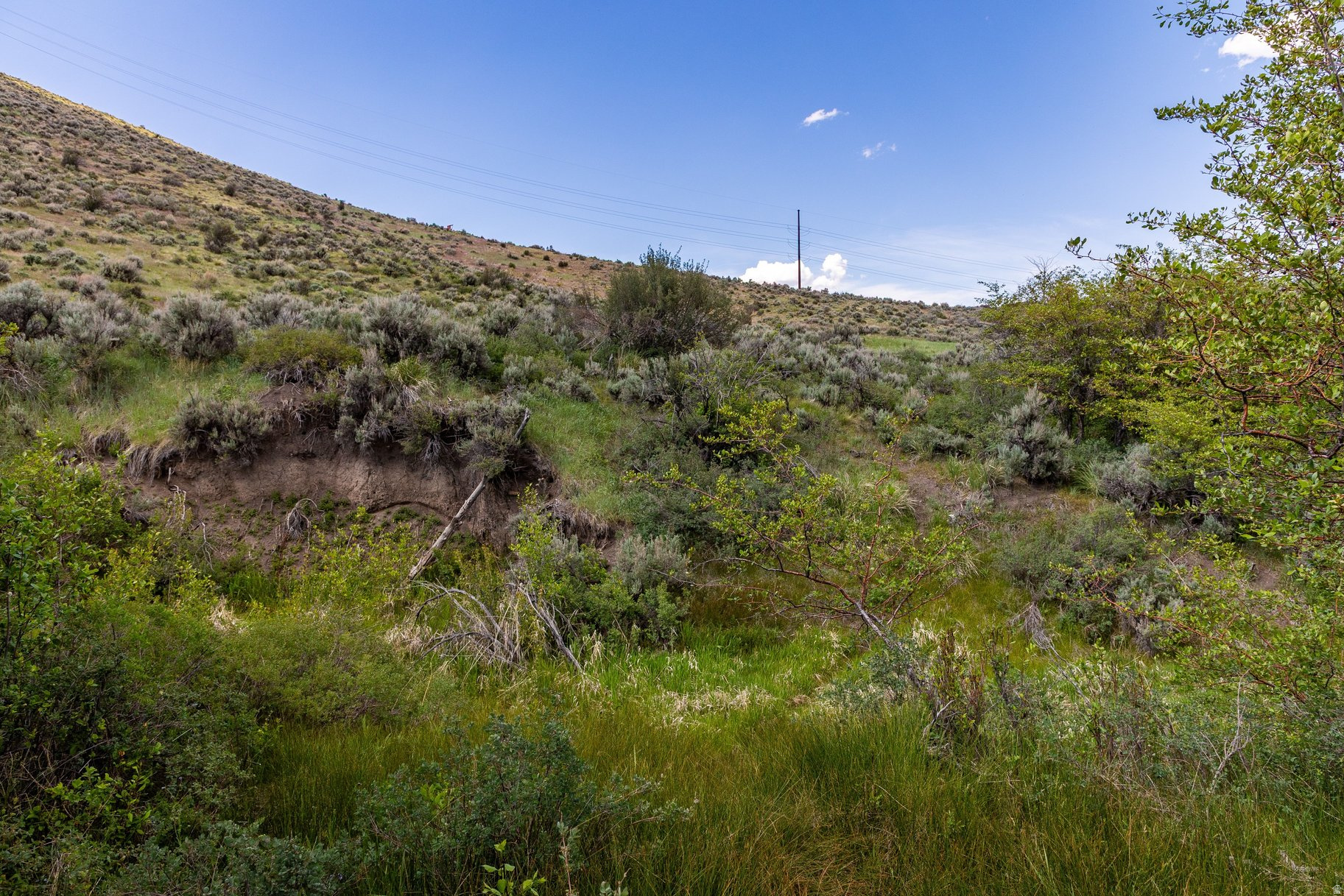 ELK RIDGE SUBDIVISION - Land