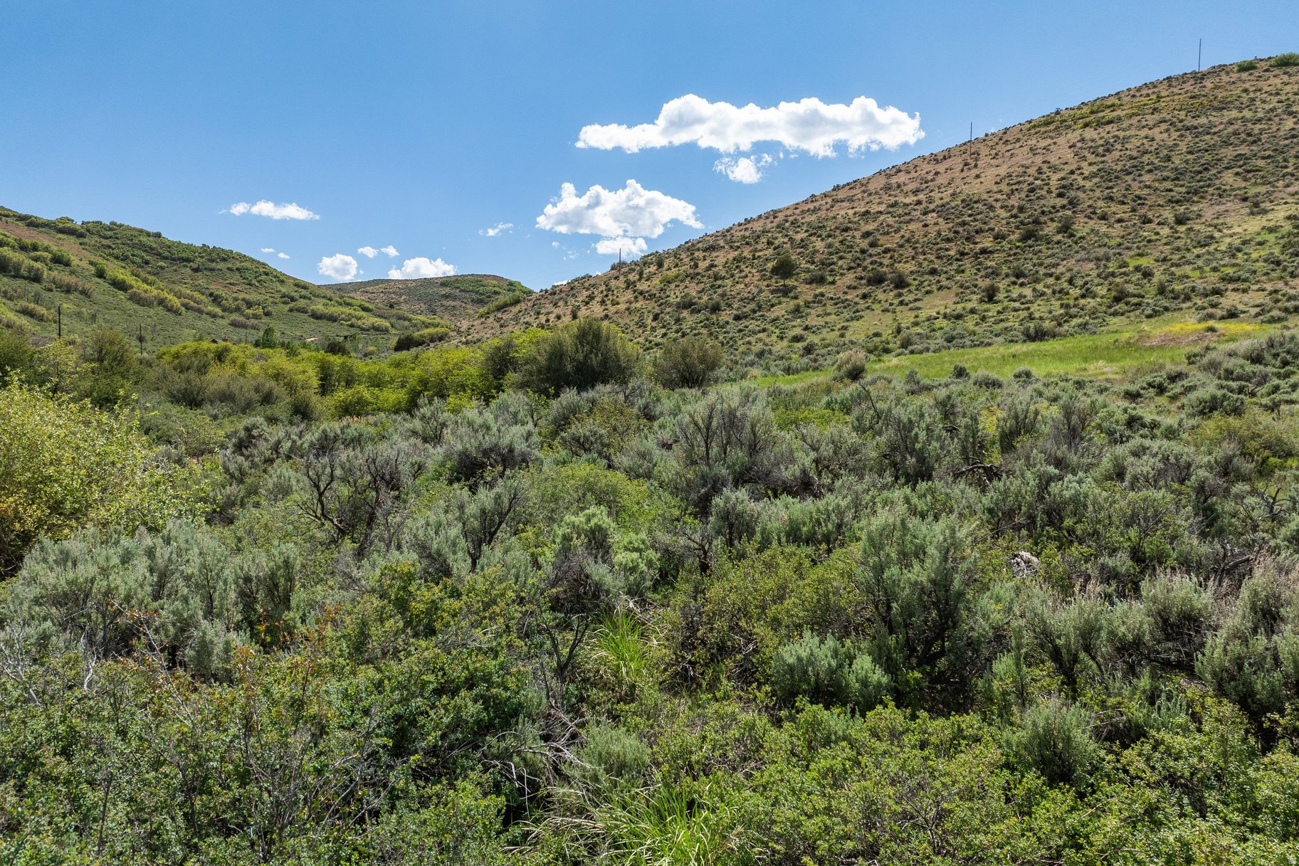 ELK RIDGE SUBDIVISION - Land