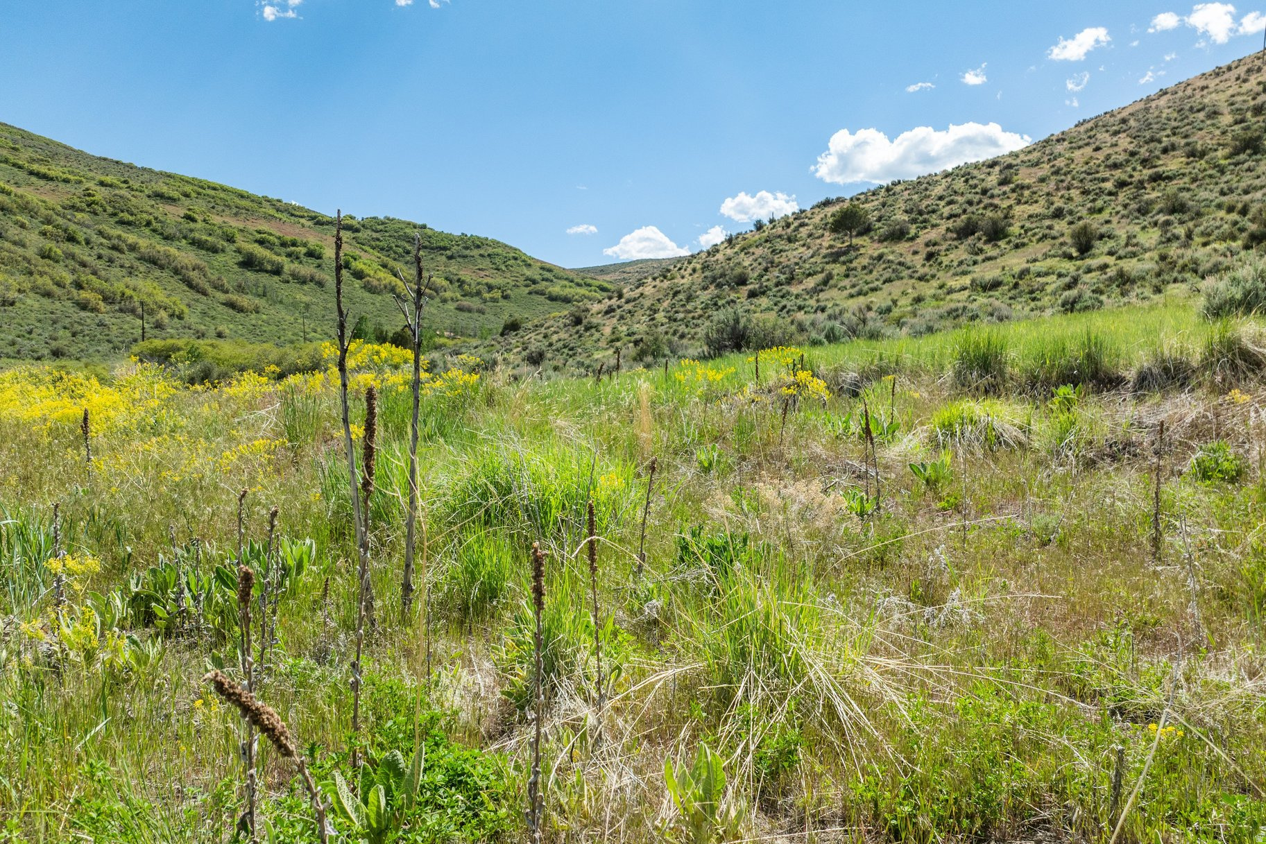 ELK RIDGE SUBDIVISION - Land