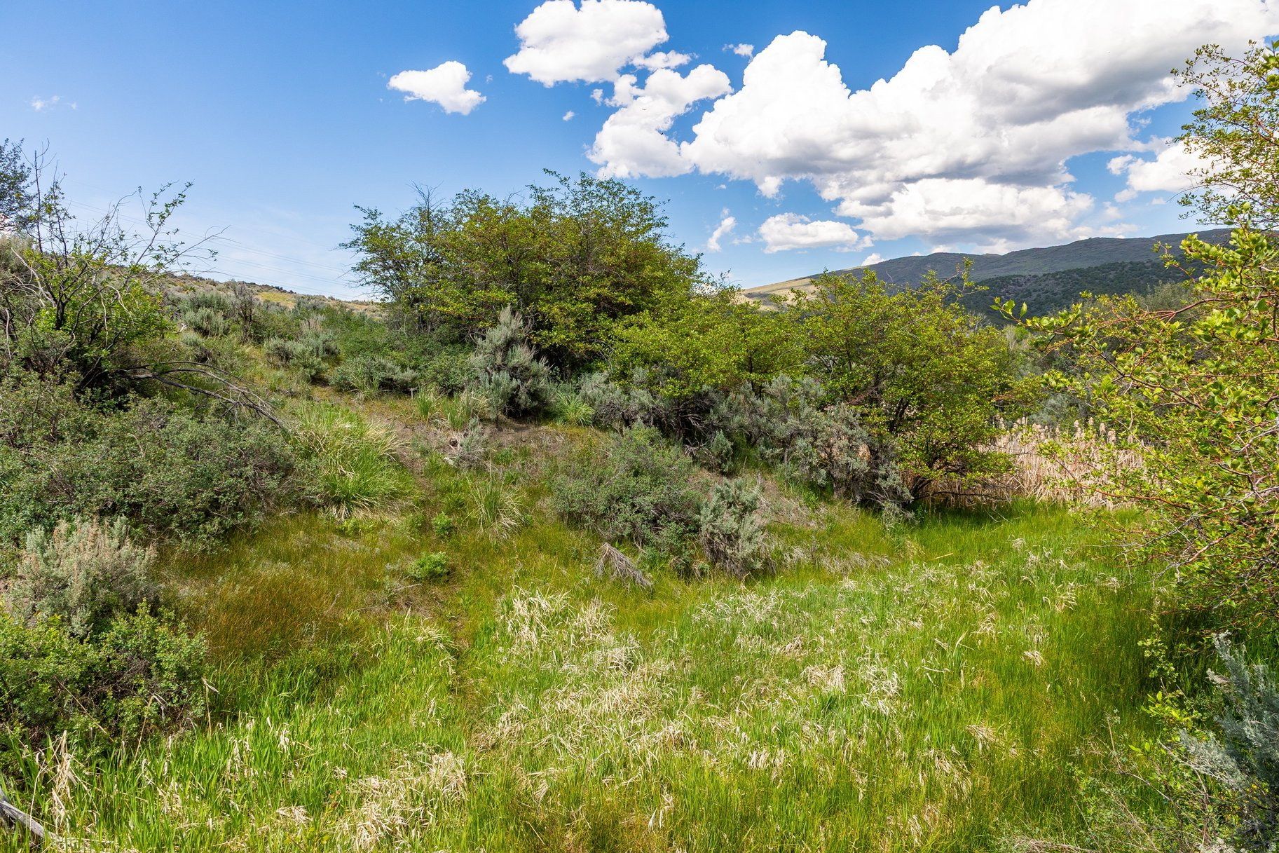 ELK RIDGE SUBDIVISION - Land
