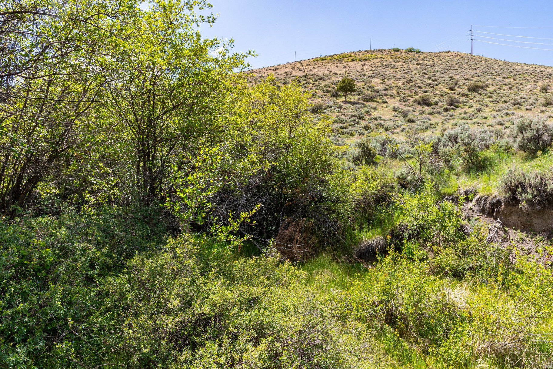 ELK RIDGE SUBDIVISION - Land