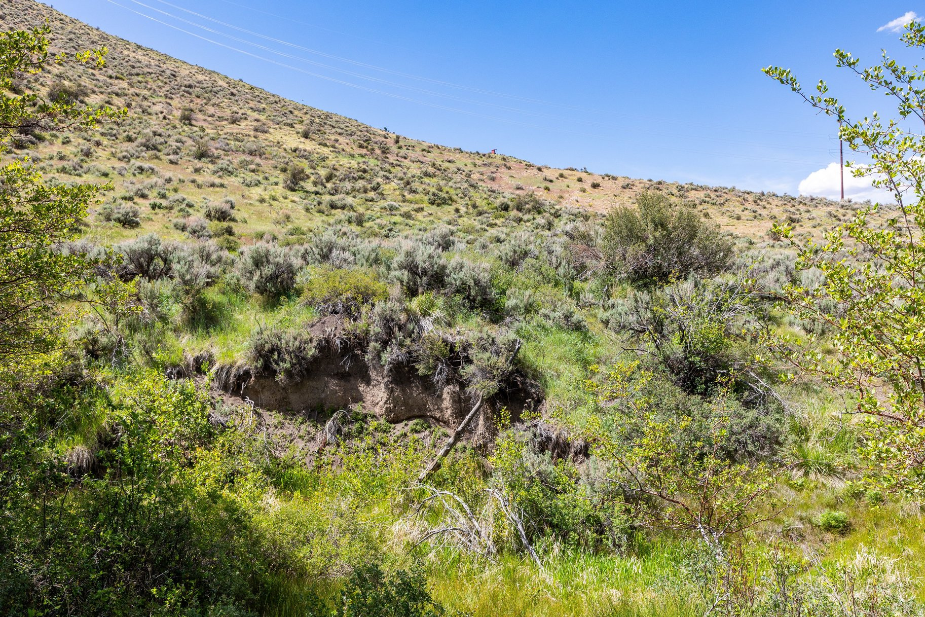 ELK RIDGE SUBDIVISION - Land