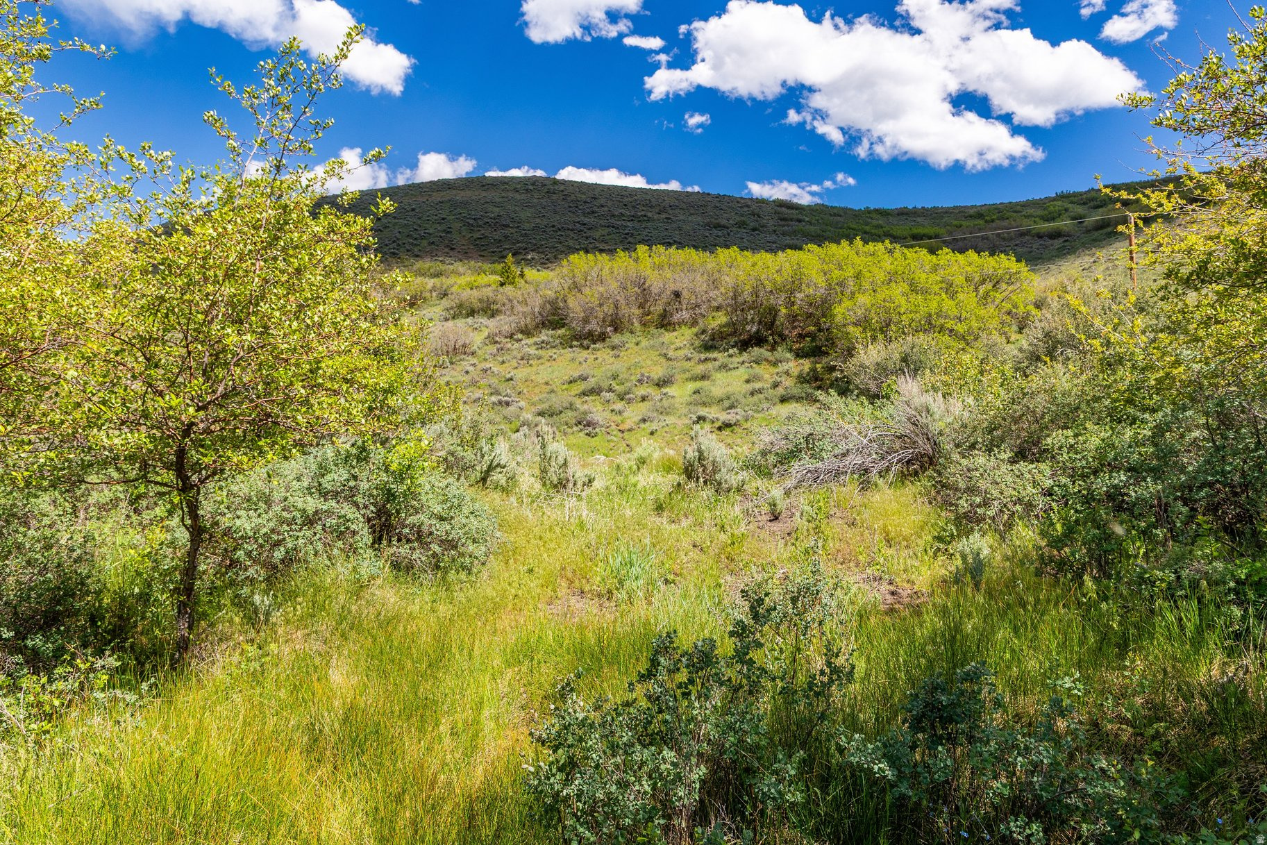 ELK RIDGE SUBDIVISION - Land