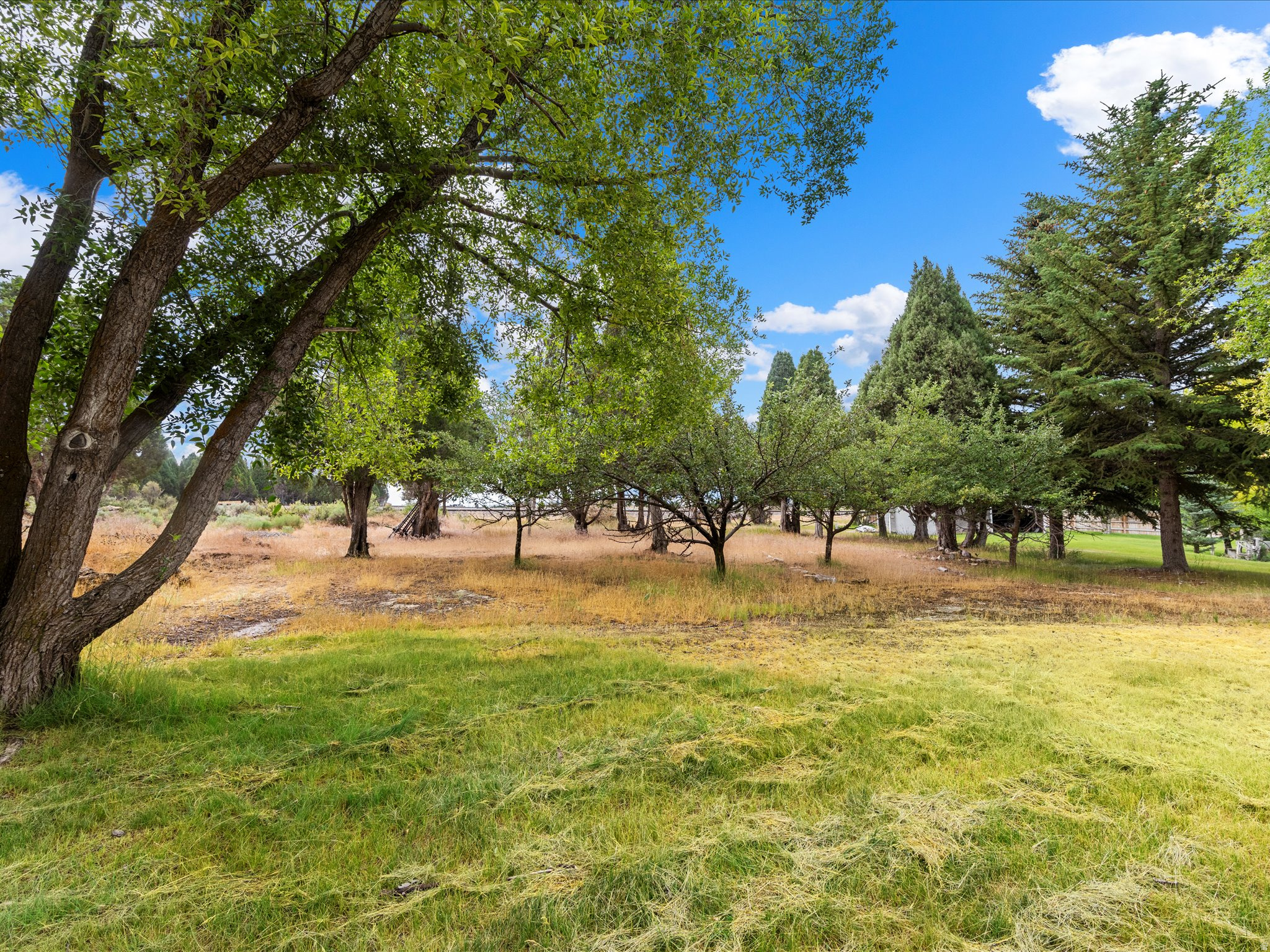 PIONEER CEDARS - Residential