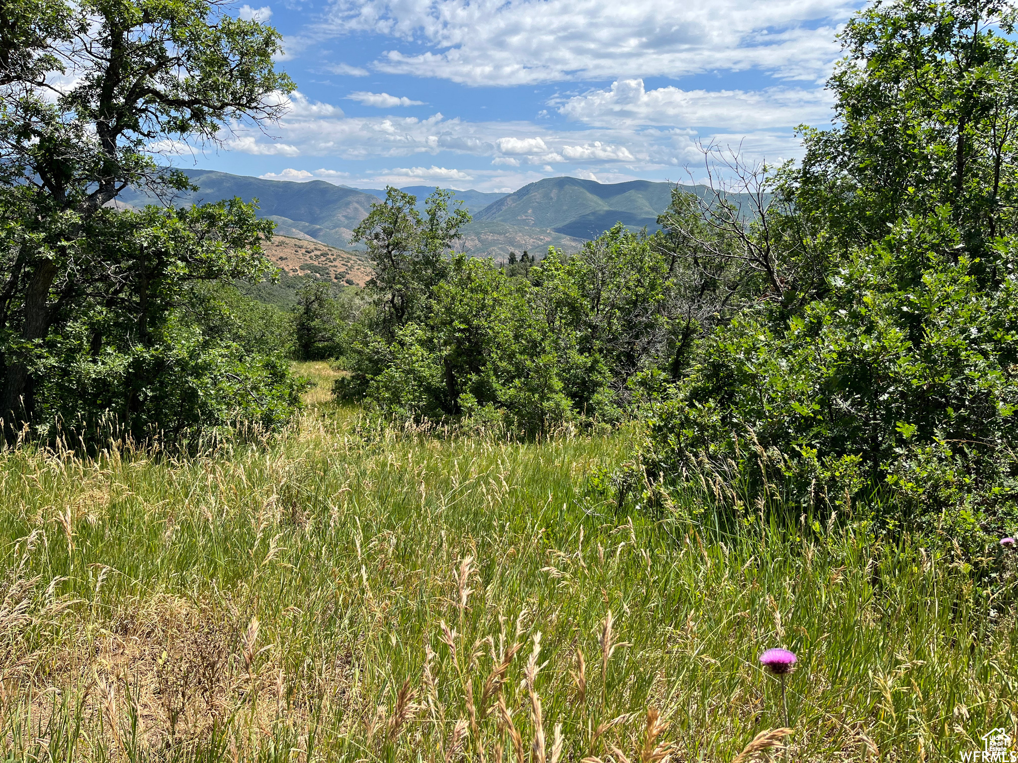 PLAT A UPPER WHITTER - Land