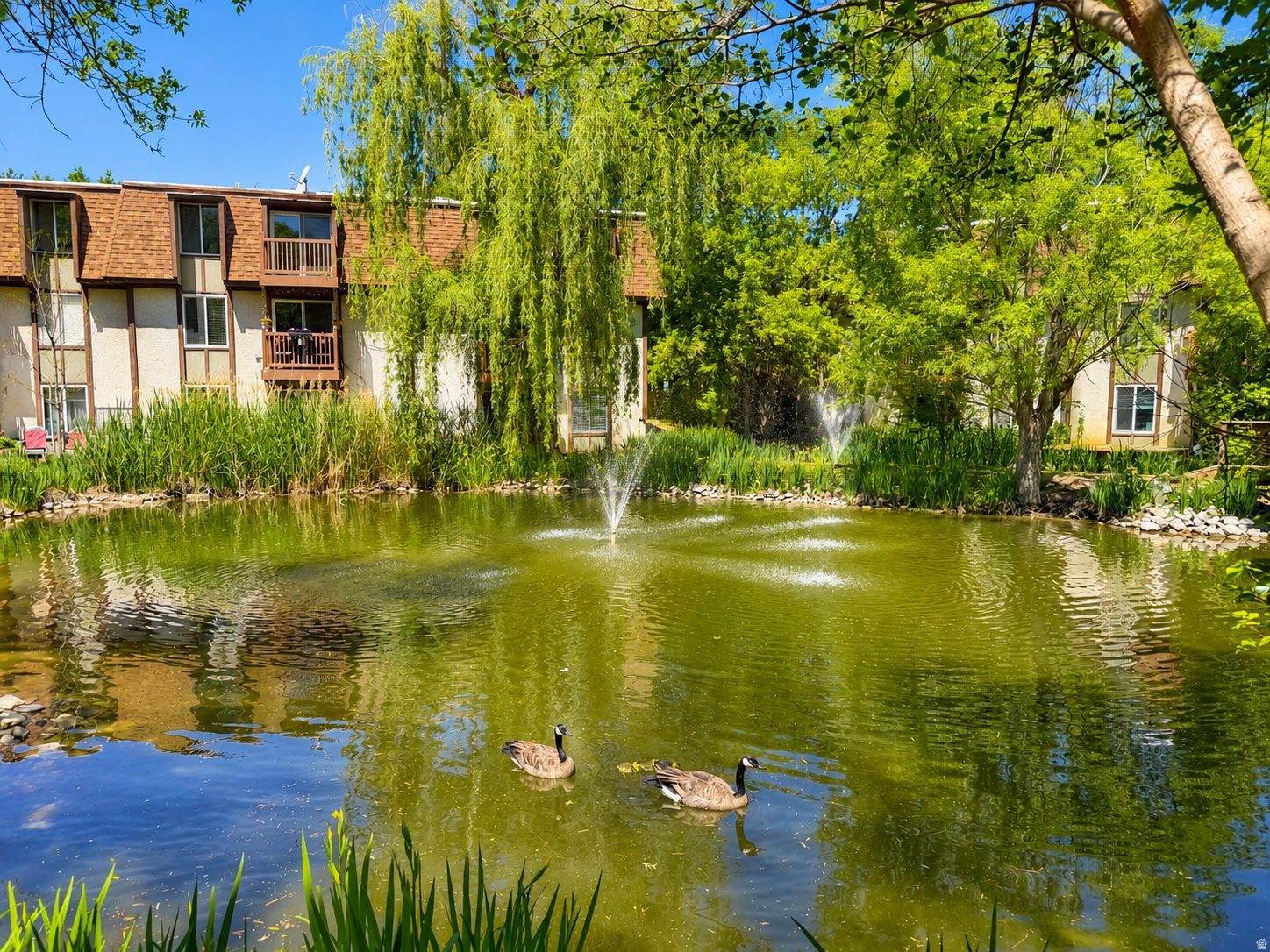 WILLOWS CONDM - Residential