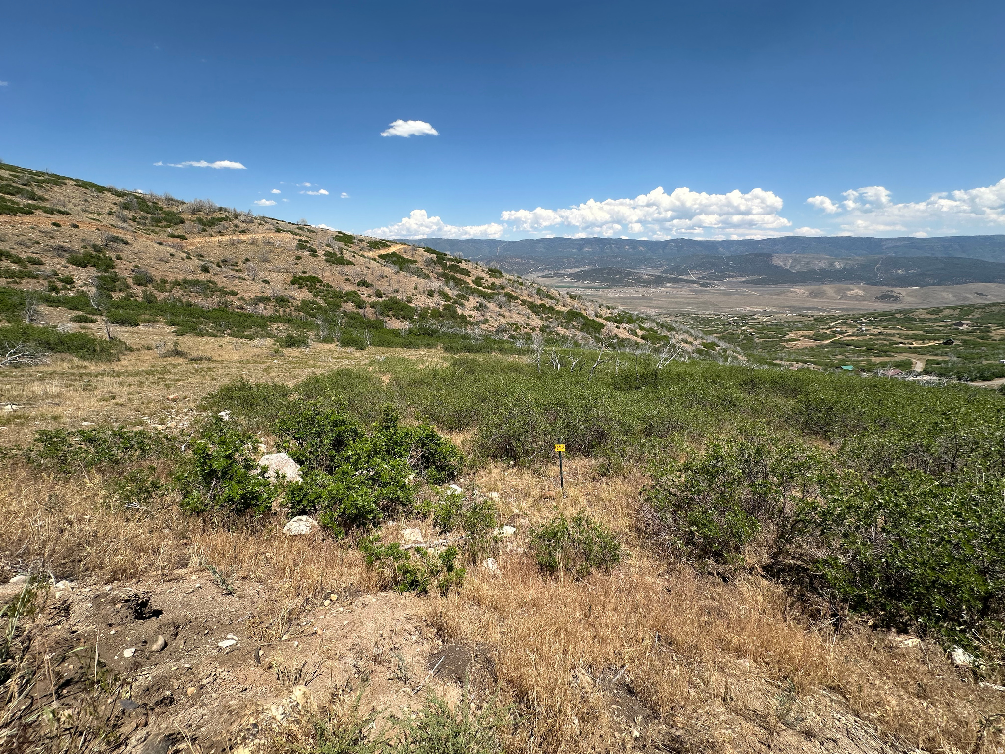Incredible panoramic views and endless outdoor adventure await at Indian Ridge POA, Lot Q12! This premier recreational parcel is the ultimate blank canvas for your mountain getaway, cabin build, or basecamp for weekend trail riding, hiking, and exploring. Situated in a highly desirable area of the community, this lot offers the perfect blend of high-country seclusion and accessibility.  The property is uniquely positioned for convenience: community water is available directly at the property line, saving you the massive expense of drilling a private well (buyer to pay the connection/hookup fee to the POA). Power options are nearby, or you can design a custom off-grid solar oasis. Enjoy pristine starry nights, cool mountain breezes, and unbeatable scenery. Don't miss this opportunity to secure your piece of paradise in Indian Ridge. Buyer to verify all utilities, boundaries, and POA rules
