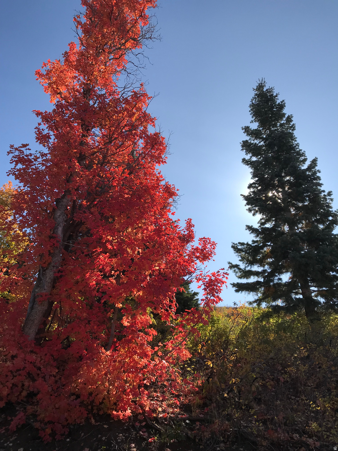 SKYLINE MOUNTAIN RESORT - Land
