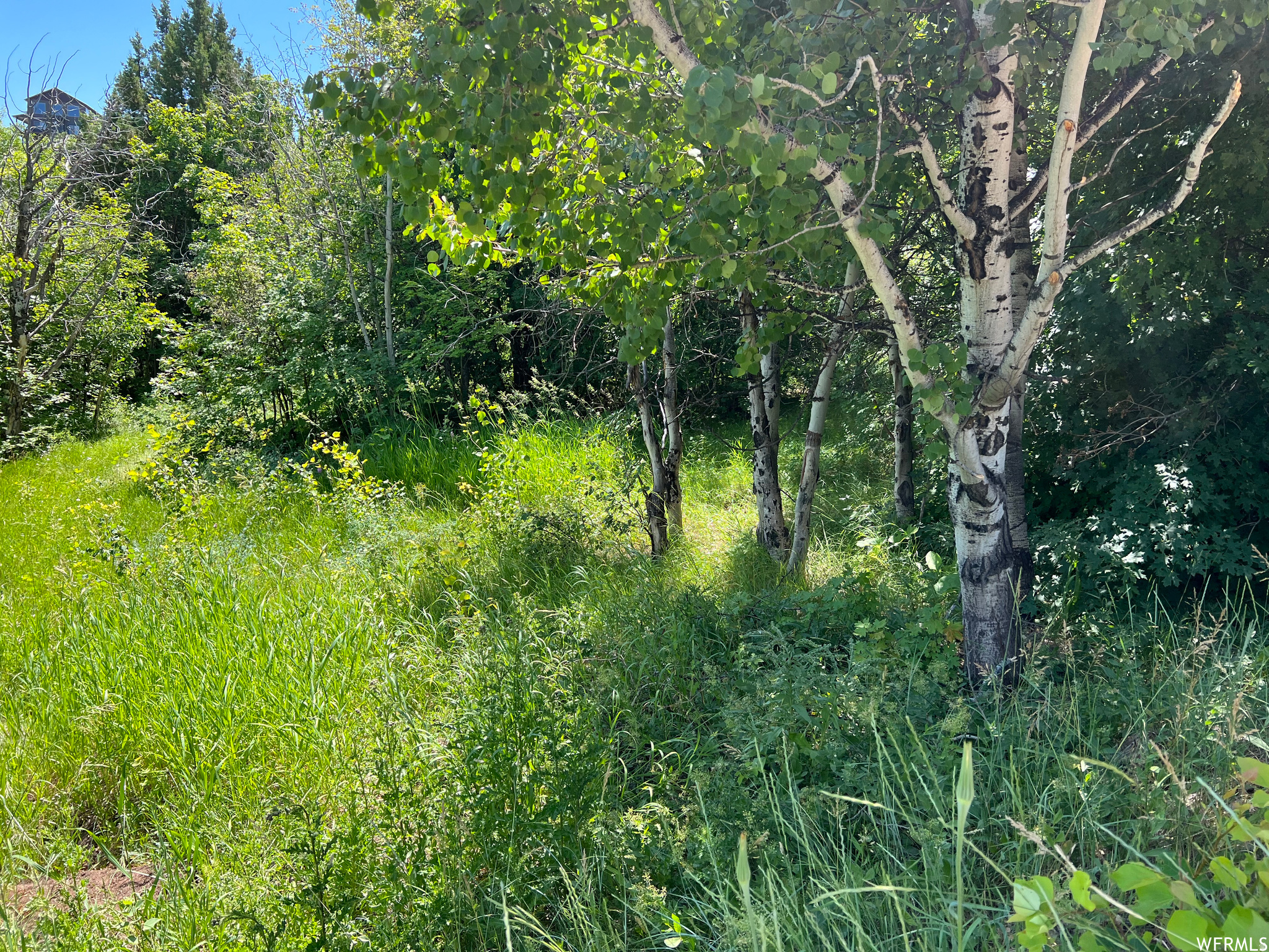 Gorgeous views of mountain and Bear Lake from this beautifully wooded lot located in the gated community of Swan Creek Village. Lot slopes gently away from road and Pines, Aspen and Scrub Oak provide a secluded feel. Easy year round access and located Just north of the Bear Lake State Park Marina and downtown Garden City. Lots of recreational options from water sports, fishing, UTV/ATV, snowmobiling, mountain biking, hiking and snowshoeing. Water and year round road maintenance are covered by the HOA.No short term rentals allowed.