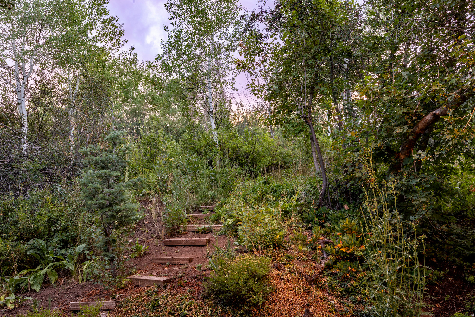 HIDDEN COVE - Residential