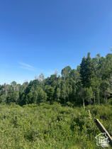 Great opportunity to own 1.93 acres on Skyline Mountain Resort in Fairview! This is lot K49. Amazing views and perfect to build your dream cabin. Create your own slice of heaven on this large building lot! The incredible views and peaceful setting make it the perfect blank canvas to create the home of your dreams in the countryside. You will love having ample room for elbow space, with camping, hiking, and ATV riding just minutes away from home! Skyline Mountain Resort features a swimming pool available to members, RV camp sites, rental cabins, tennis, pickleball, and much more!