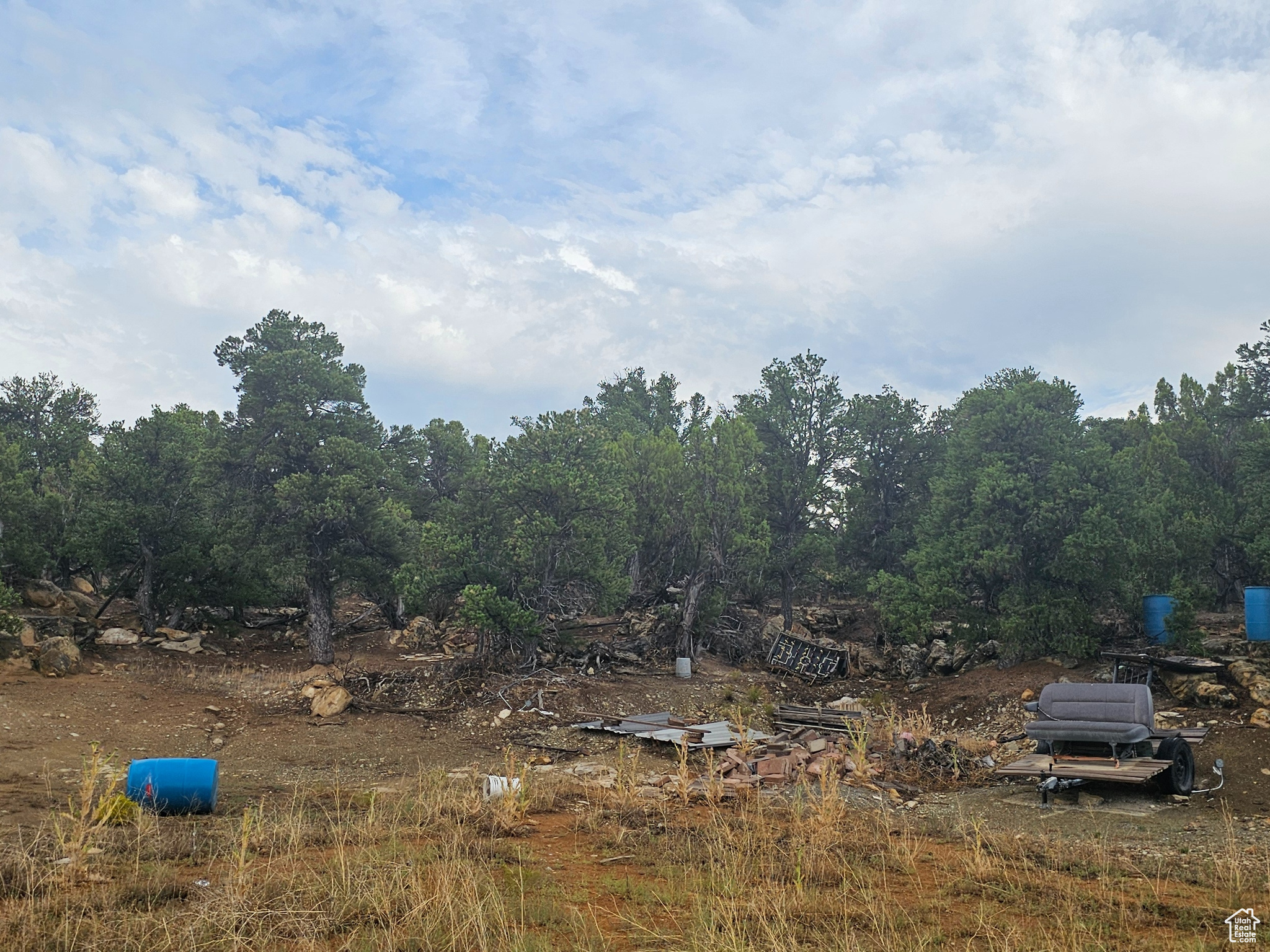 CEDAR MOUNTAIN - Land