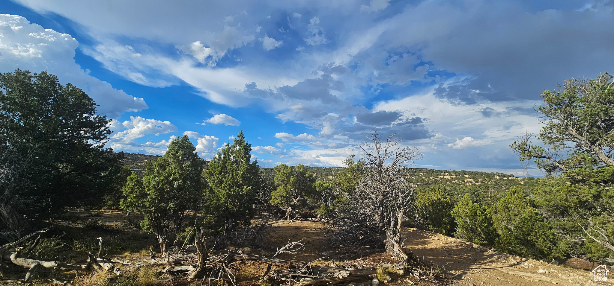 CEDAR MOUNTAIN - Land