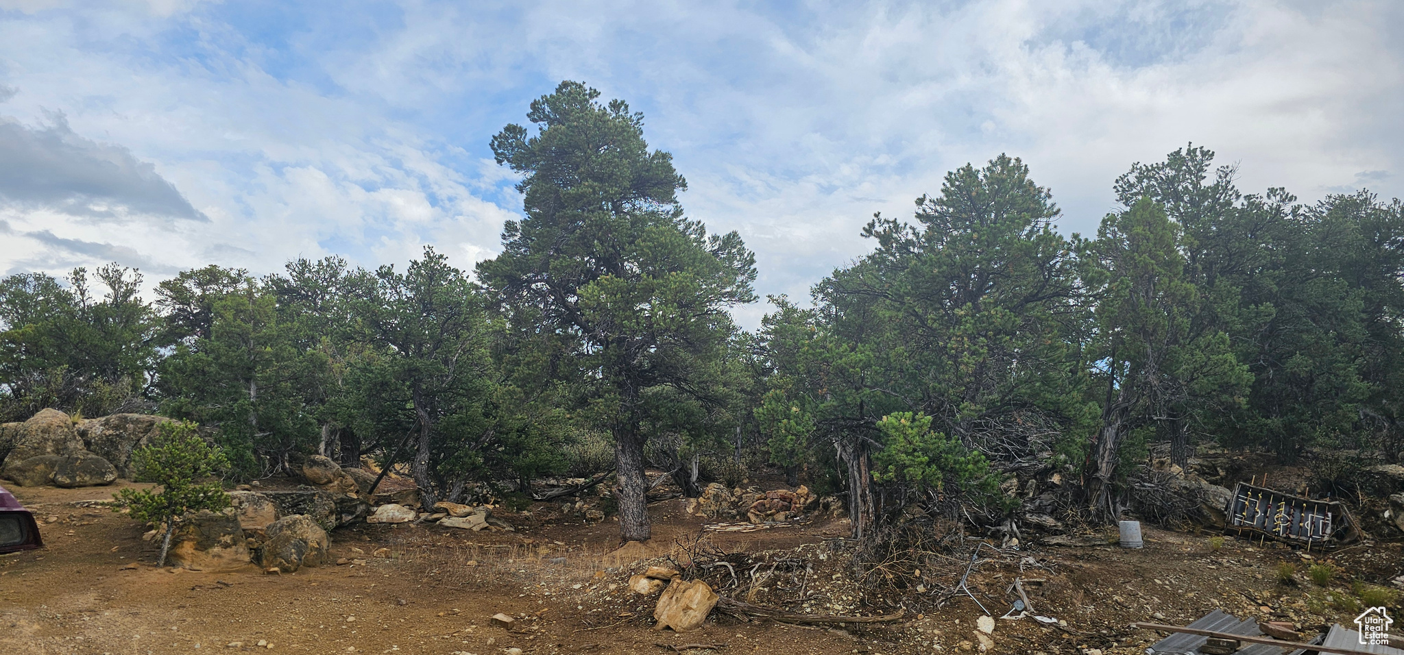 CEDAR MOUNTAIN - Land