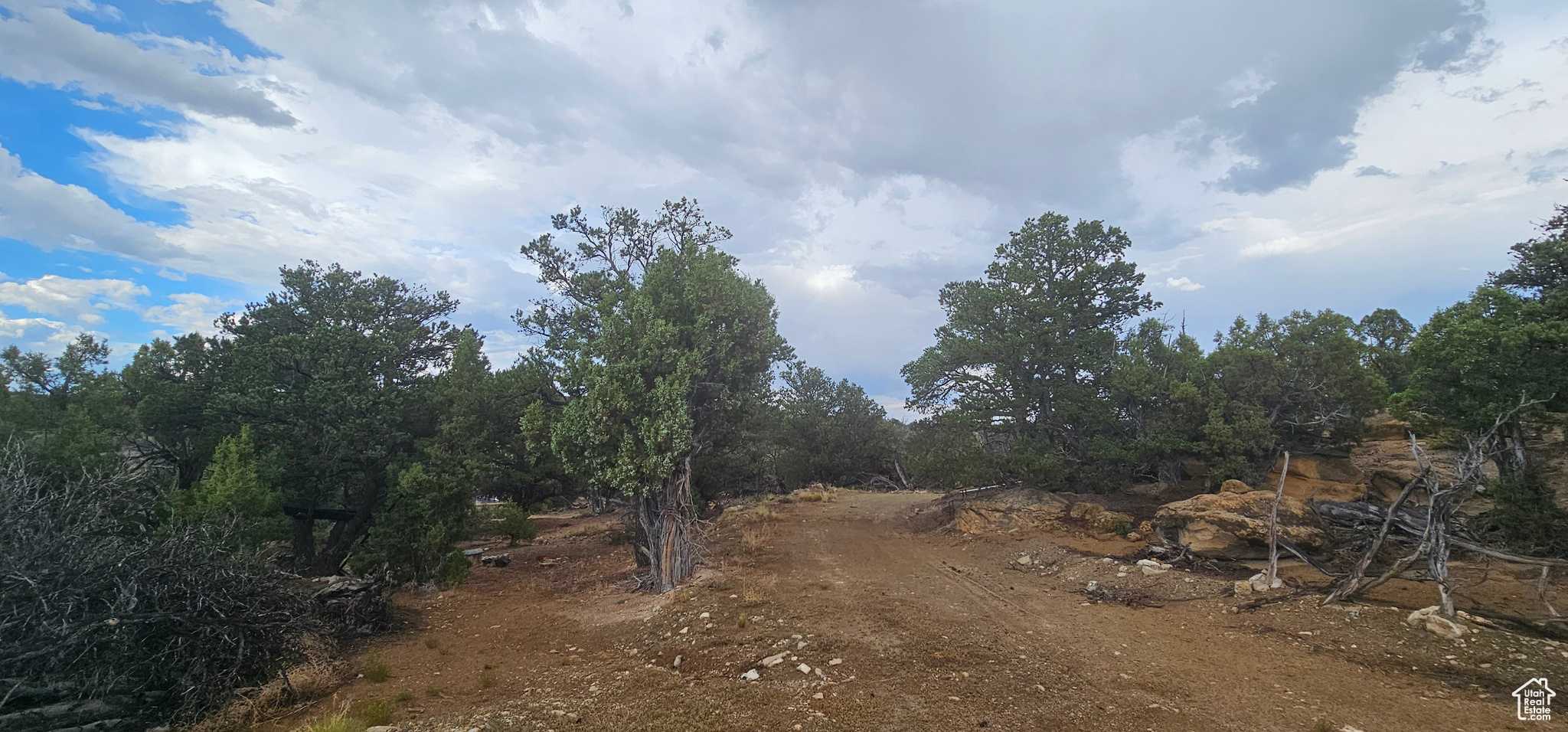 CEDAR MOUNTAIN - Land