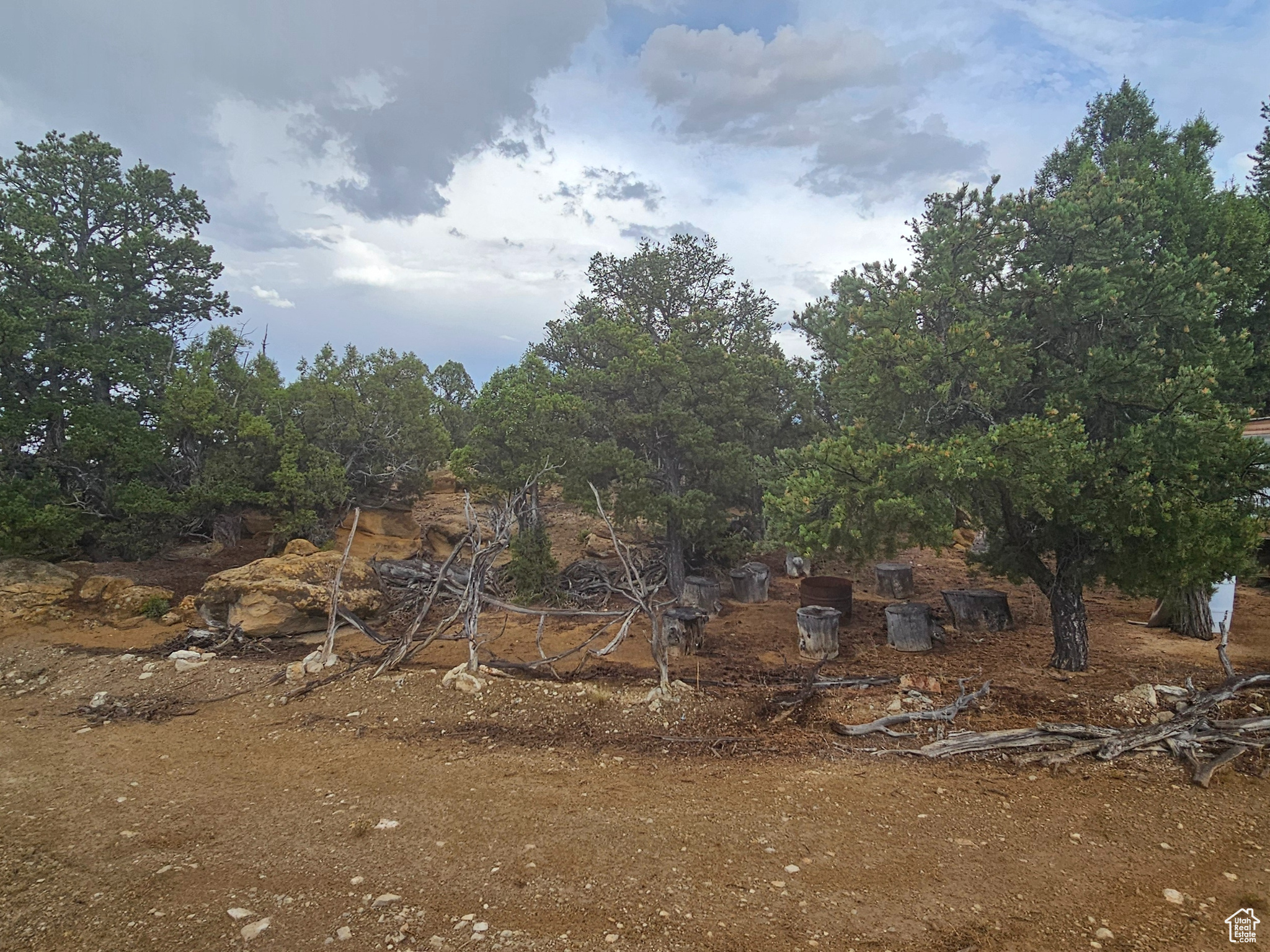 CEDAR MOUNTAIN - Land