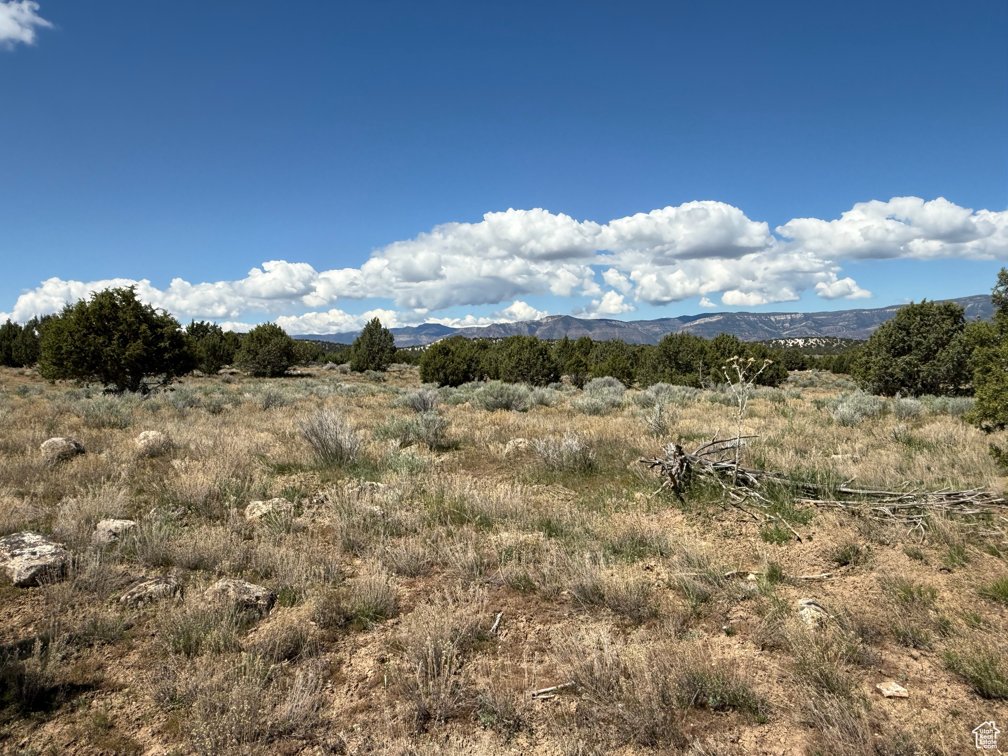 Lot 16, nestled just outside of coveted Spring City Utah, Spring City Ranches LLC  offers a peaceful escape surrounded by nature in the heart of Sanpete County. The expansive parcel features beautiful views of the majestic horseshoe and surrounding mountains creating a perfect backdrop for your dream home or a peaceful retreat.    Conveniently located Just minutes from Spring City, a charming historic town with art galleries and pioneer era architecture.  Walmart, Snow College, and a variety of shopping and dining options are only a short drive away in nearby Ephraim, Mt. Pleasant and Manti. One share of water included. Ideal for livestock , gardening, or future development. Great for homesteading, recreation, or a weekend getaway. Located in a quiet rural area with easy access via well-maintained roads.  Seller Financing Options Available. Start with just 20% down, flexible terms make this and affordable investment in your future.  Own land in one of Utah's most desirable rural areas. Perfect for now or later, this property gives you space, privacy, and real value.