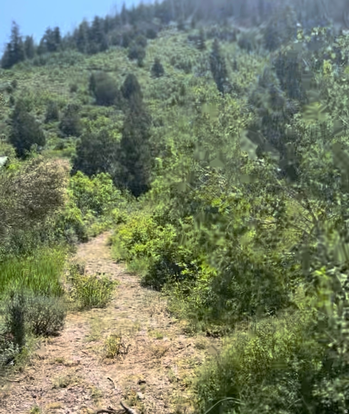 Build your dream cabin on this private lot with trees and trails and gorgeous views!  ZONING is agricultural with sub zoning defined as Single family, residential and recreational