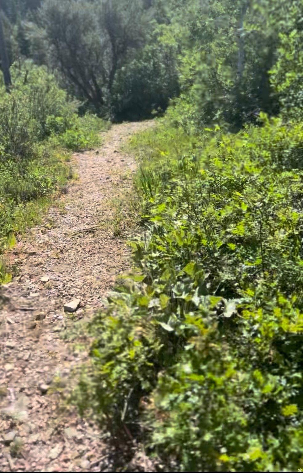 SAMAK HILLS ADDITION SUBDIVISION - Land