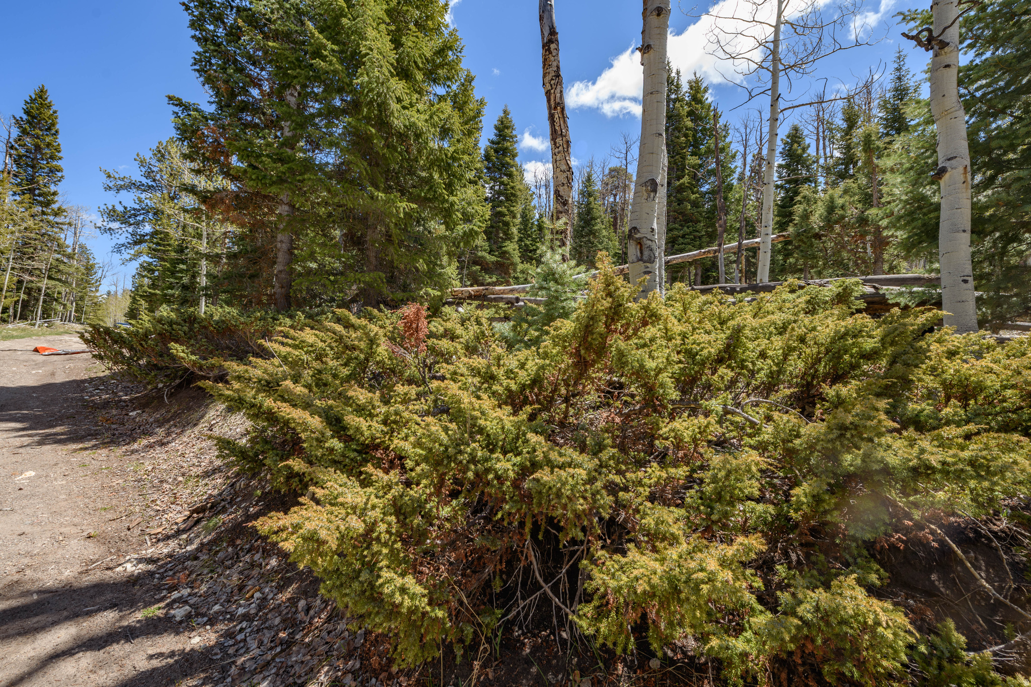 CLEAR CREEK ESTATES - Land