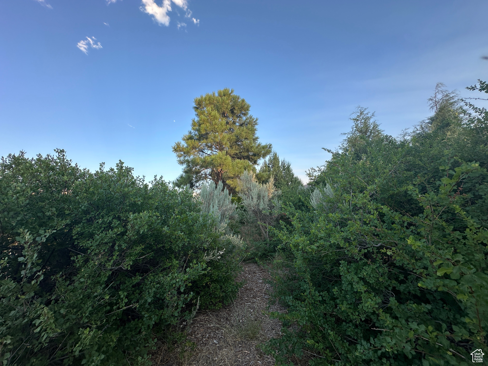 CASTLE VALLEY RIVER RANCHOS - Land