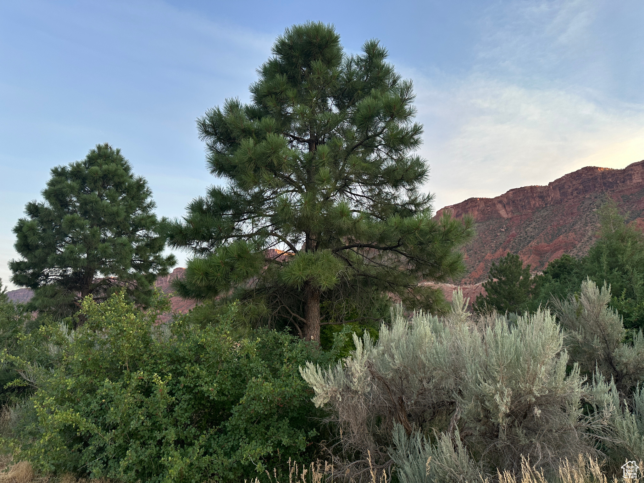 CASTLE VALLEY RIVER RANCHOS - Land