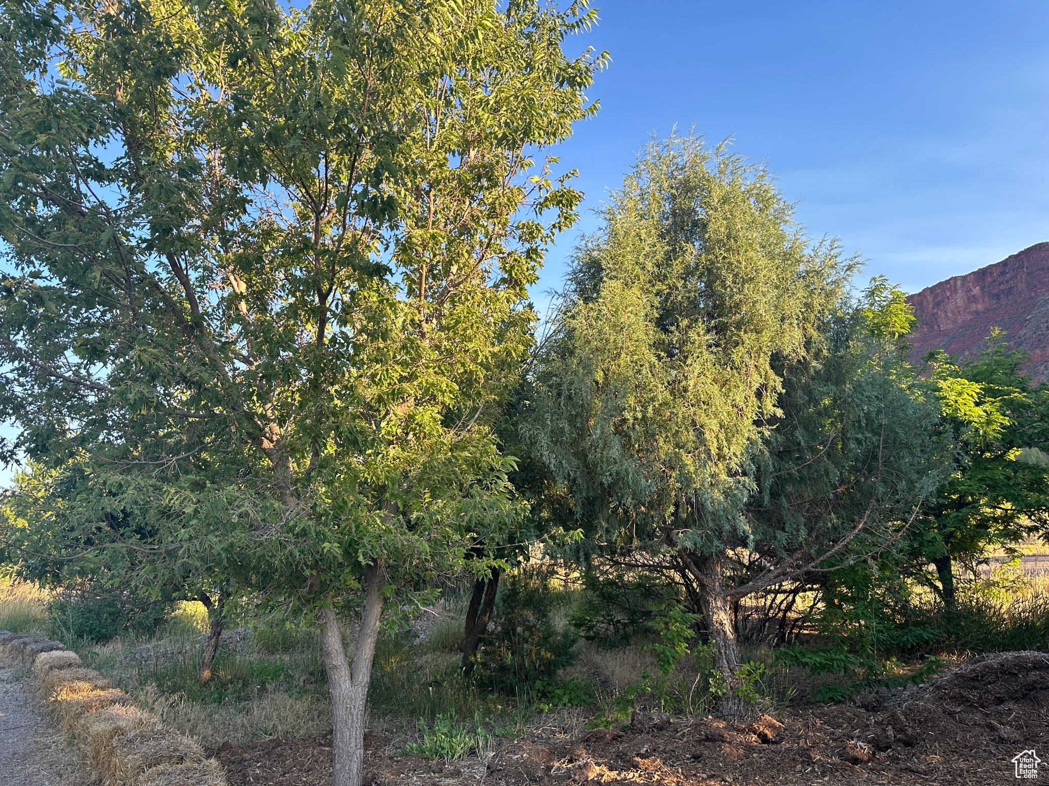 CASTLE VALLEY RIVER RANCHOS - Land