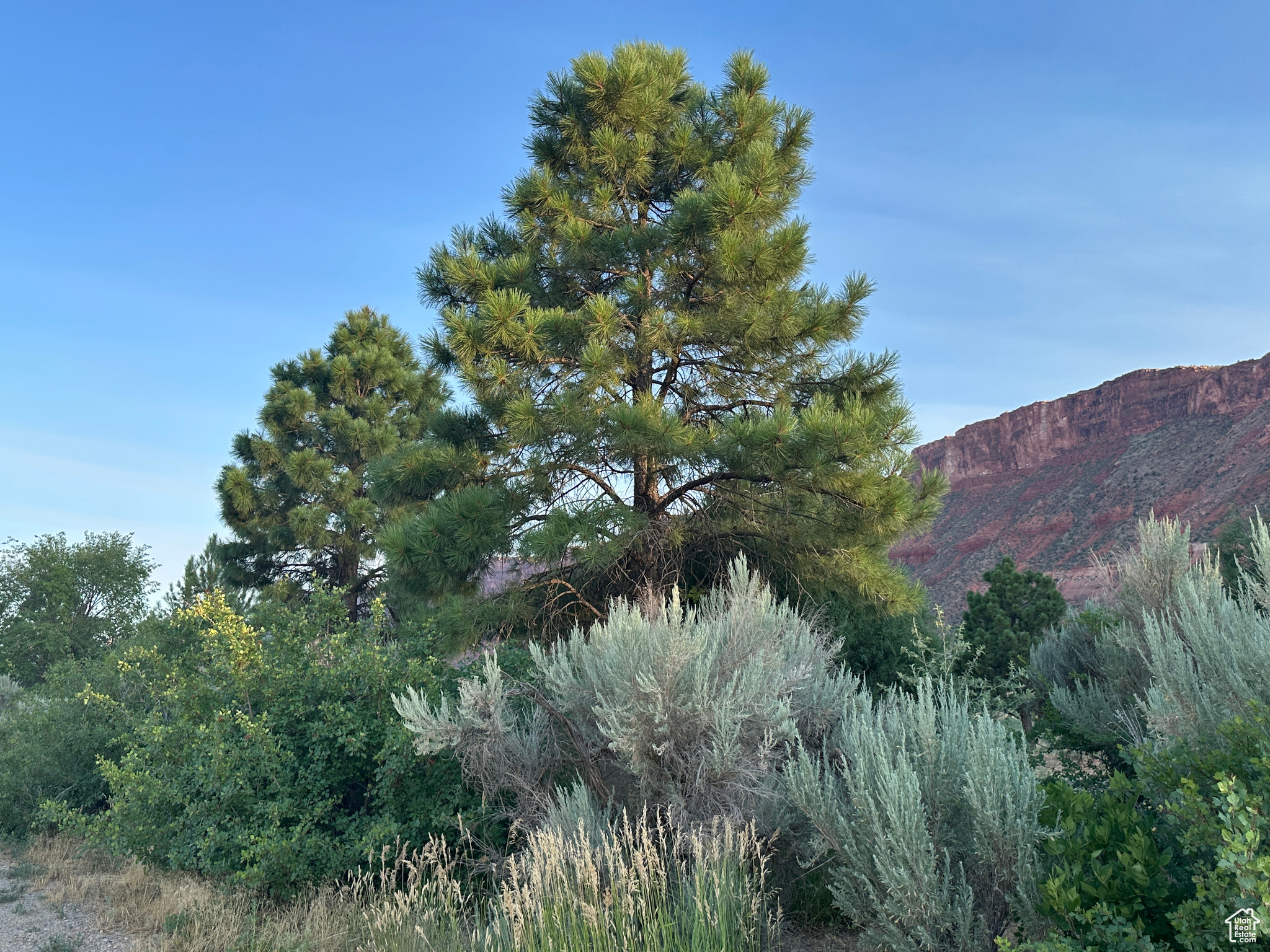 CASTLE VALLEY RIVER RANCHOS - Land
