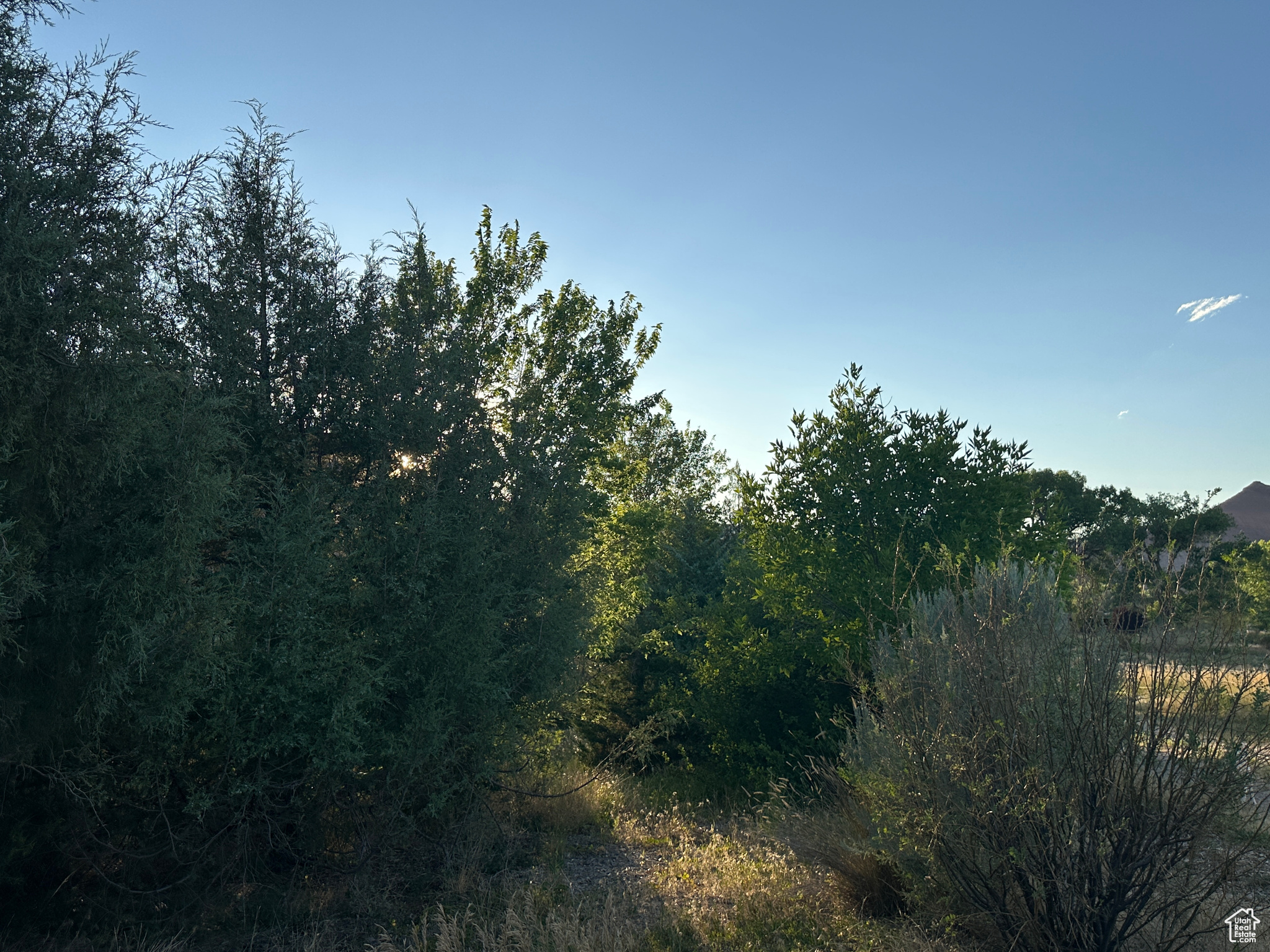CASTLE VALLEY RIVER RANCHOS - Land