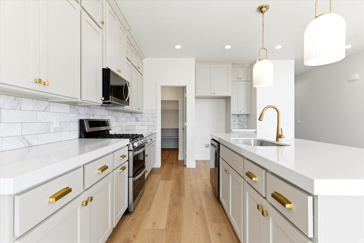 FREMOMT MEADOWS - Residential