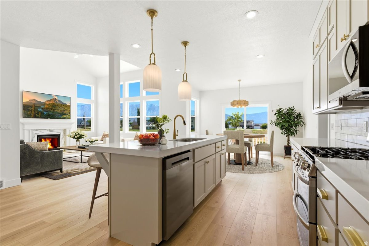 FREMOMT MEADOWS - Residential